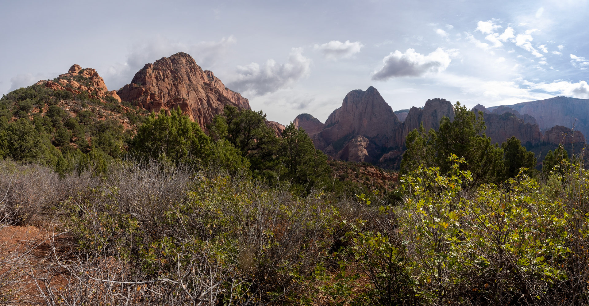 Early Views descending Timber Creek Trail