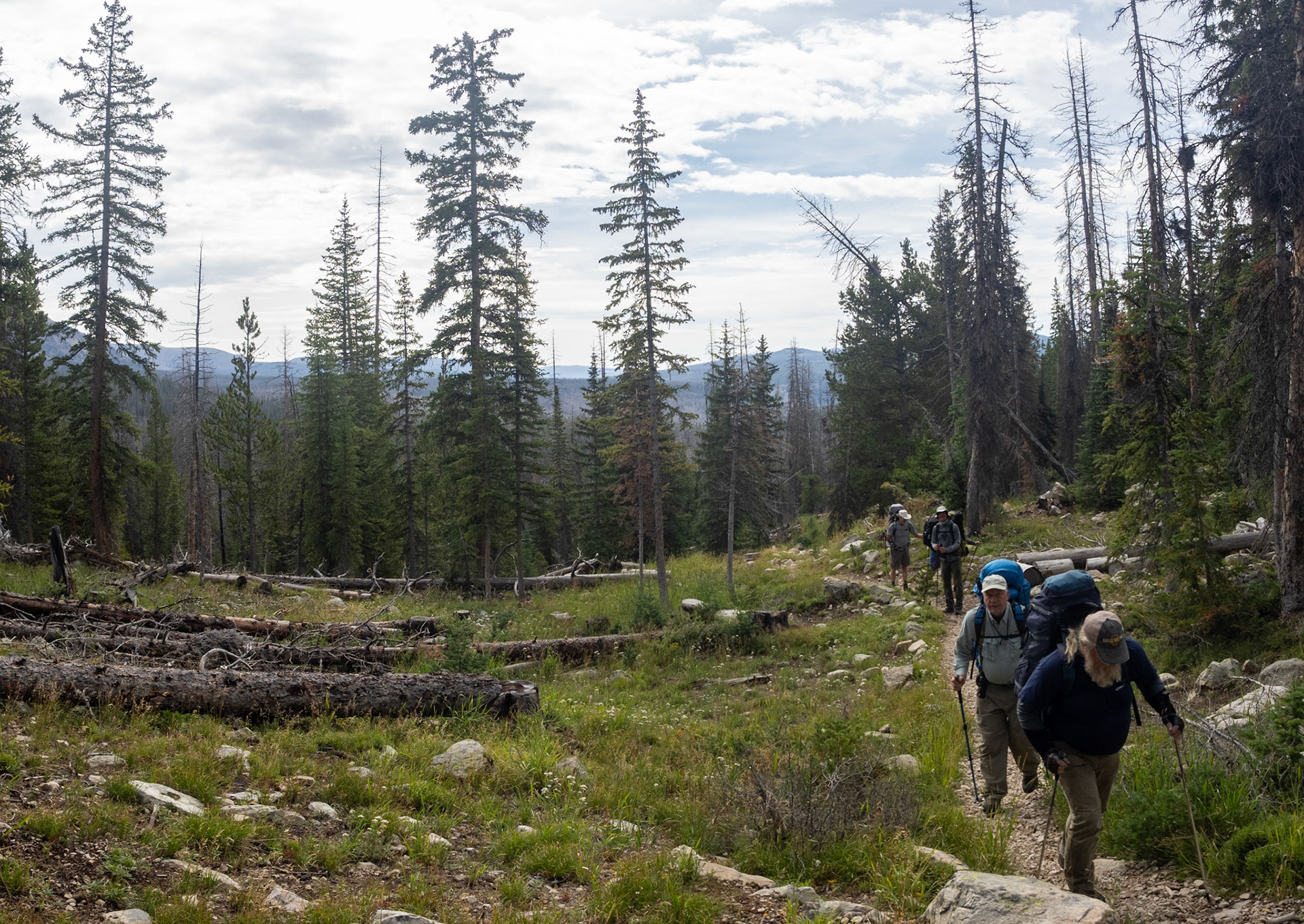 Didn't quite get what I wanted here