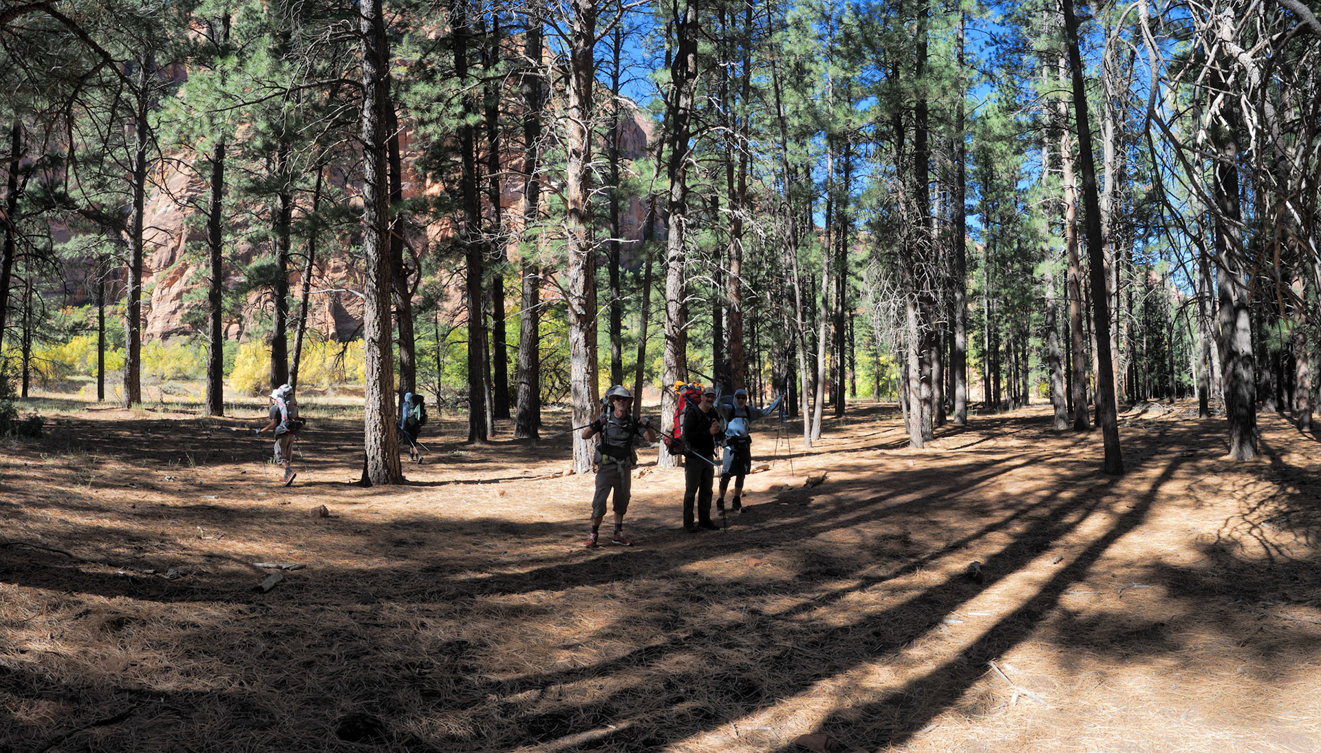 Horse Camp A - What a site!!!