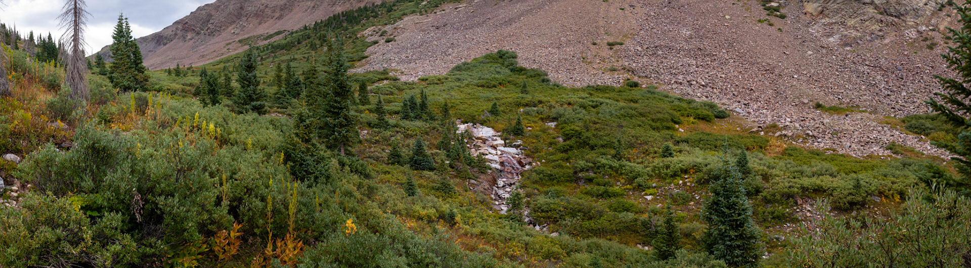 The beginnings of the Vallecito 