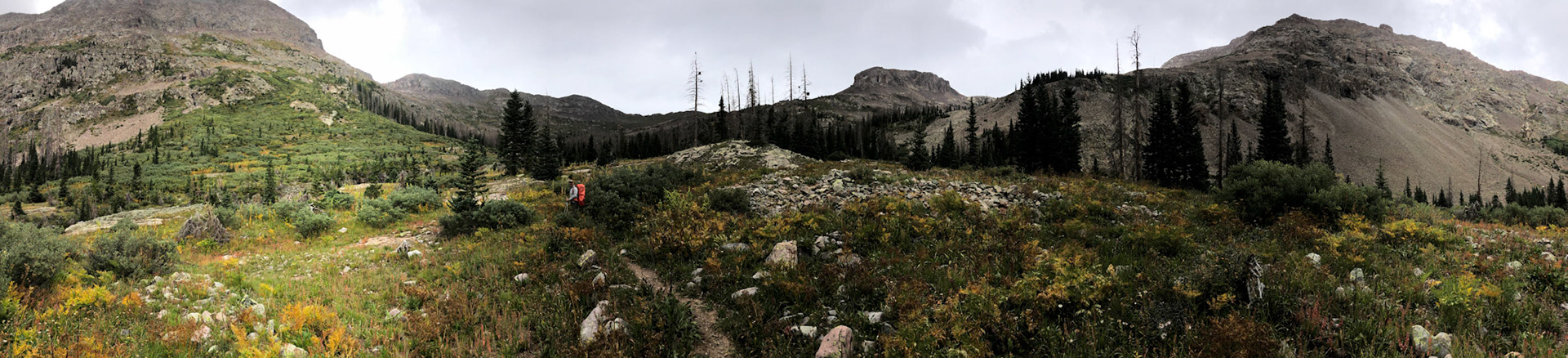 It was overcast, but still able to get some big shots