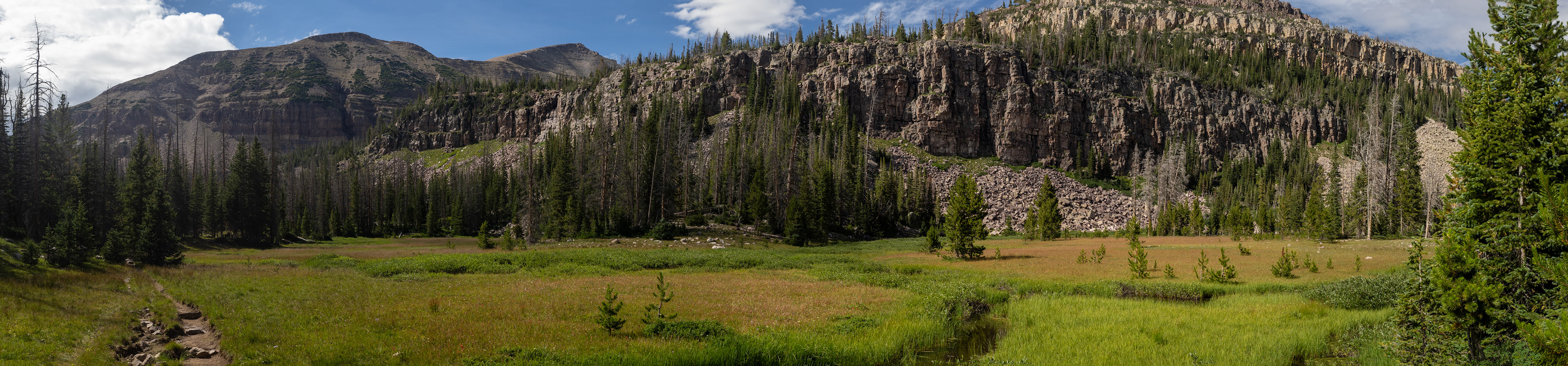 Big Meadow and Crumbling Mountain