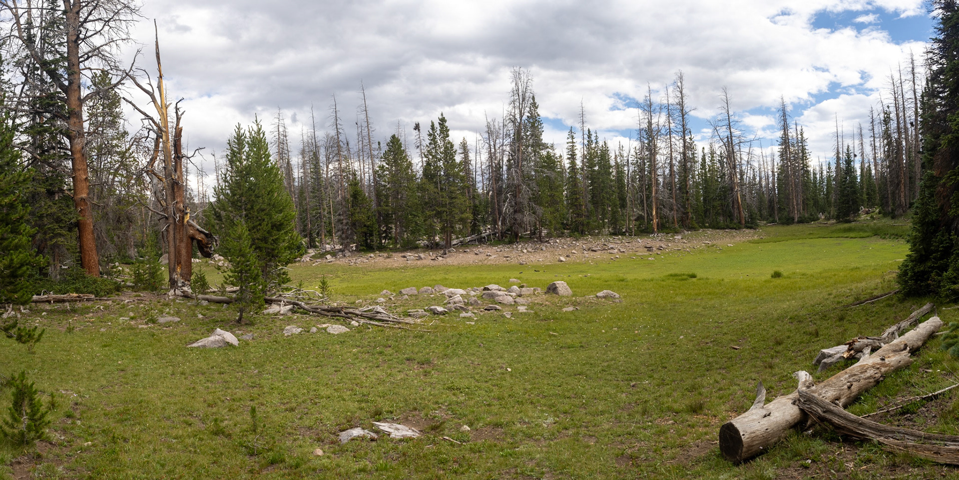 Another Highline Meadow