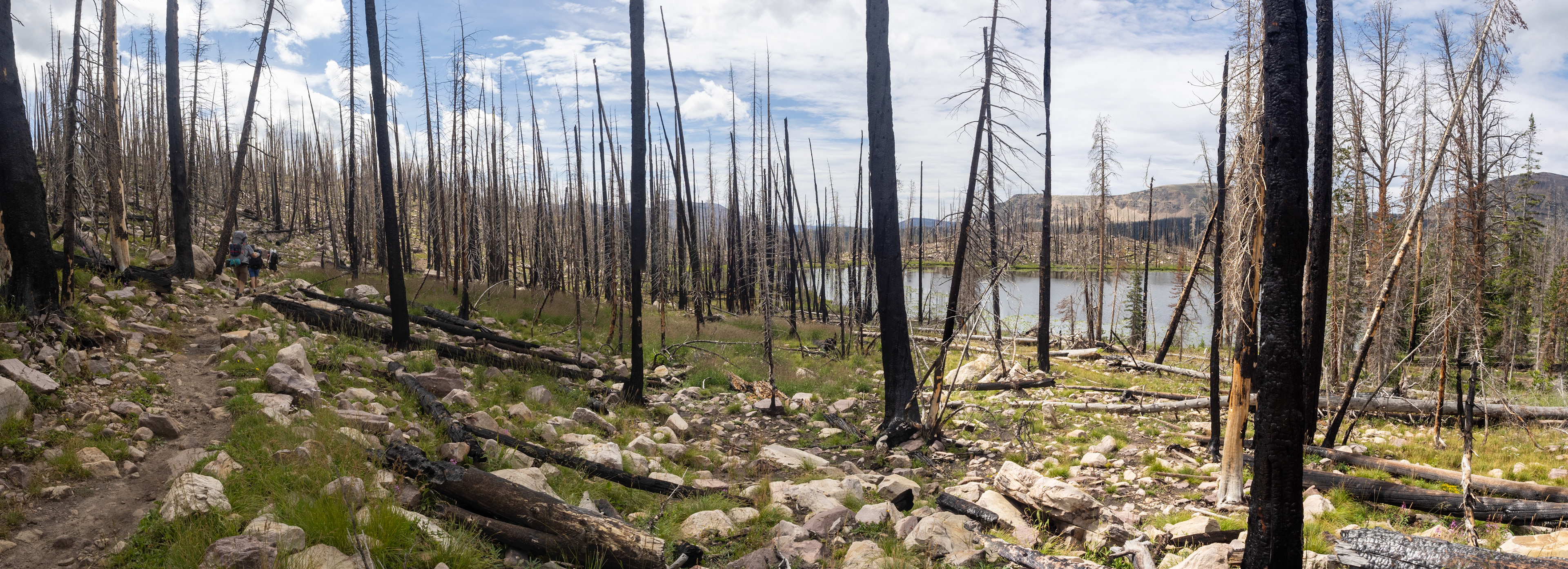 First Big Fire Area and Scudder Lake