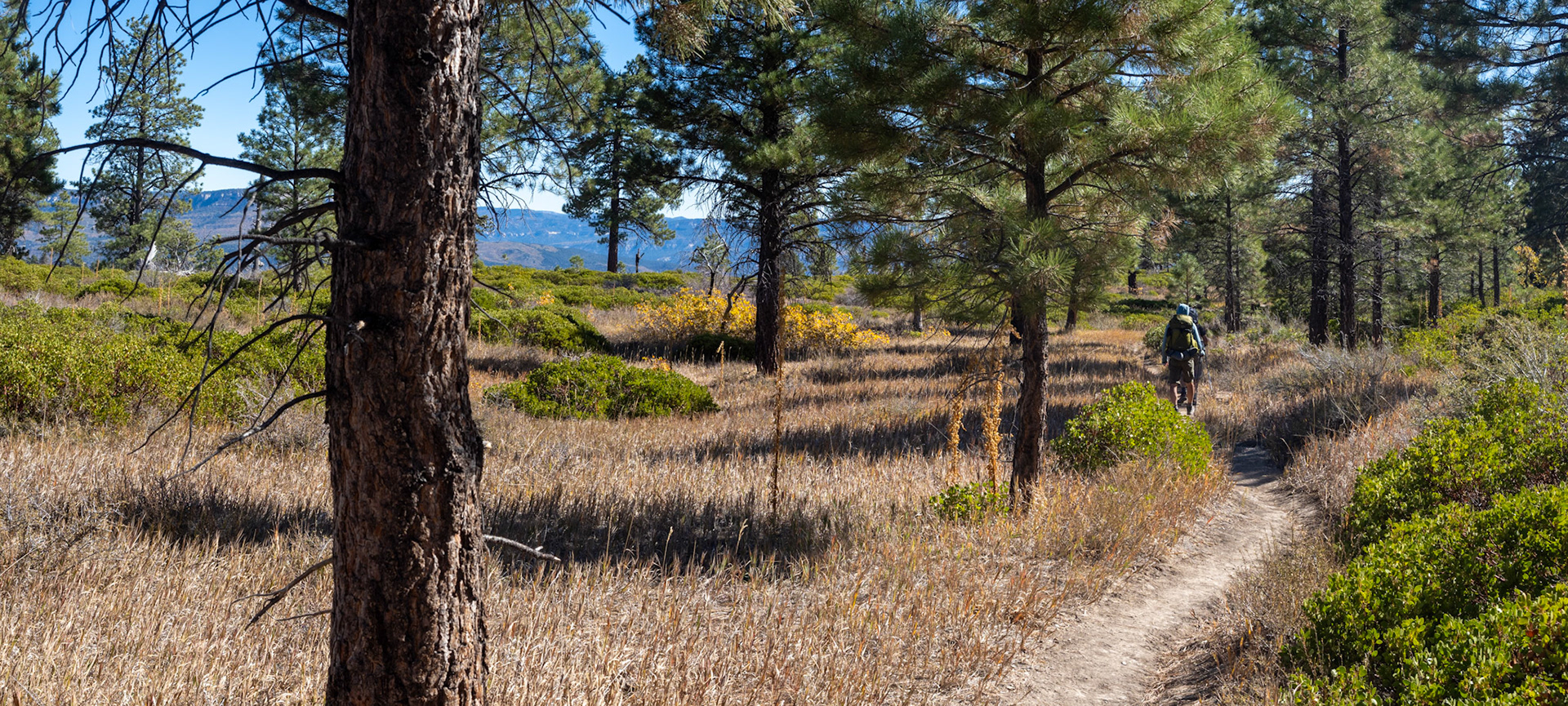 West Rim Trail working our way South