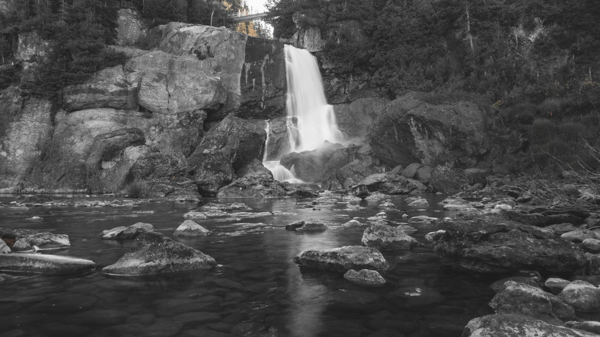 La chute