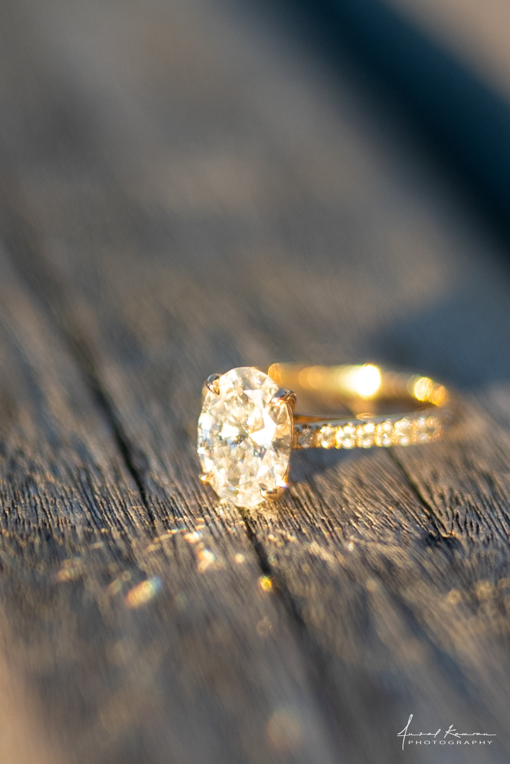 Proposal on Burnaby Mountain engagement ring