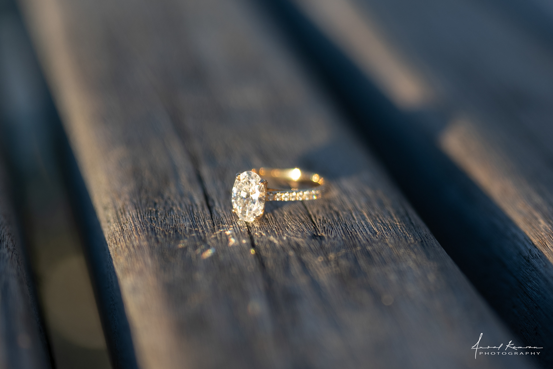 Proposal on Burnaby Mountain engagement ring