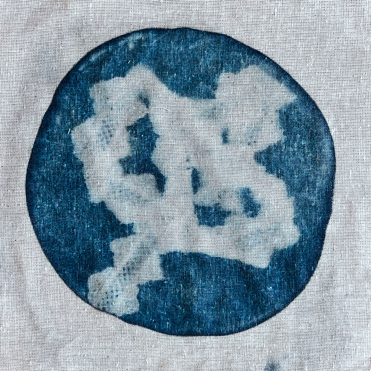 No.6, 2022, cyanotype on fabric, 23 cm 