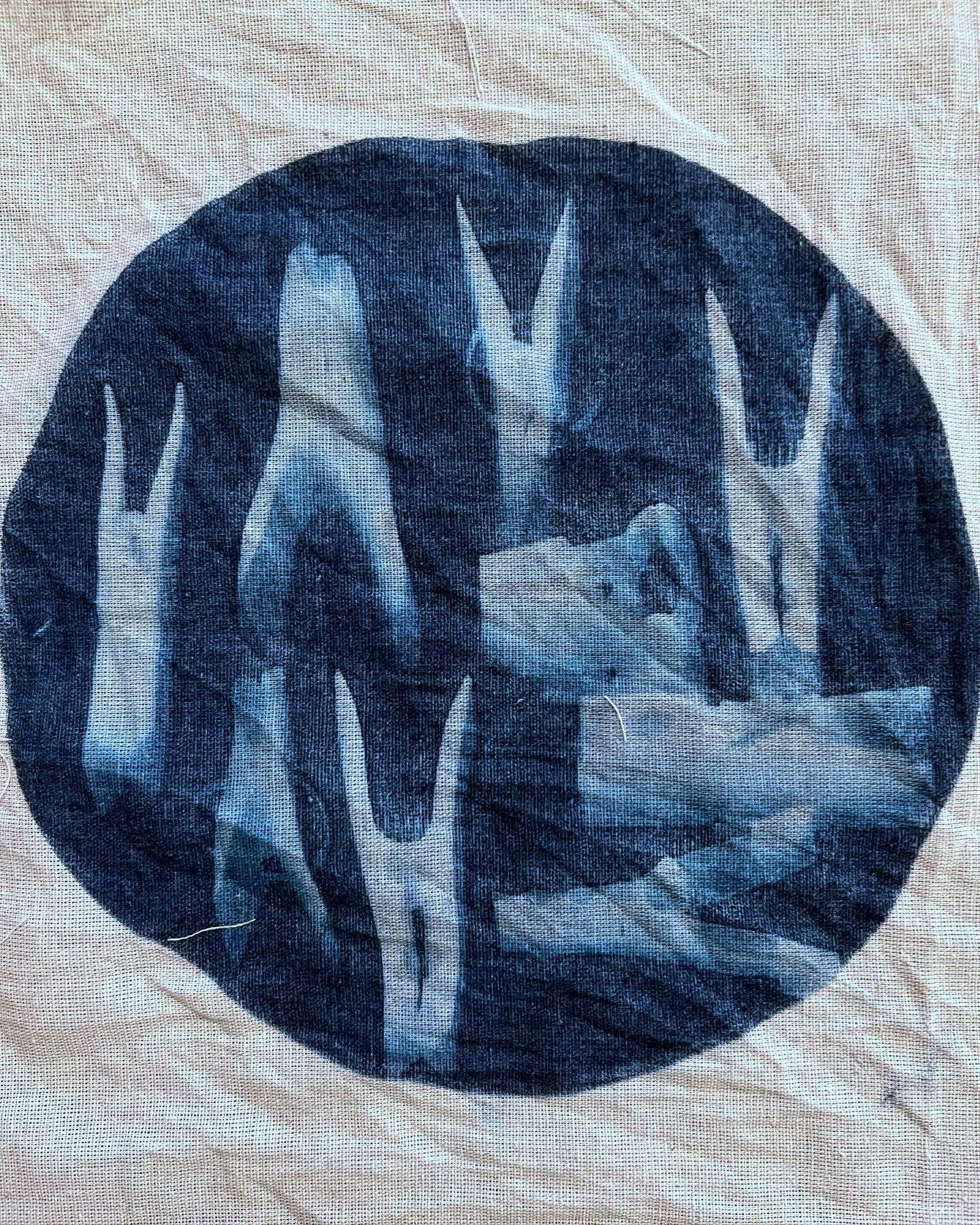 No.4, 2022, cyanotype on fabric, 25 cm 