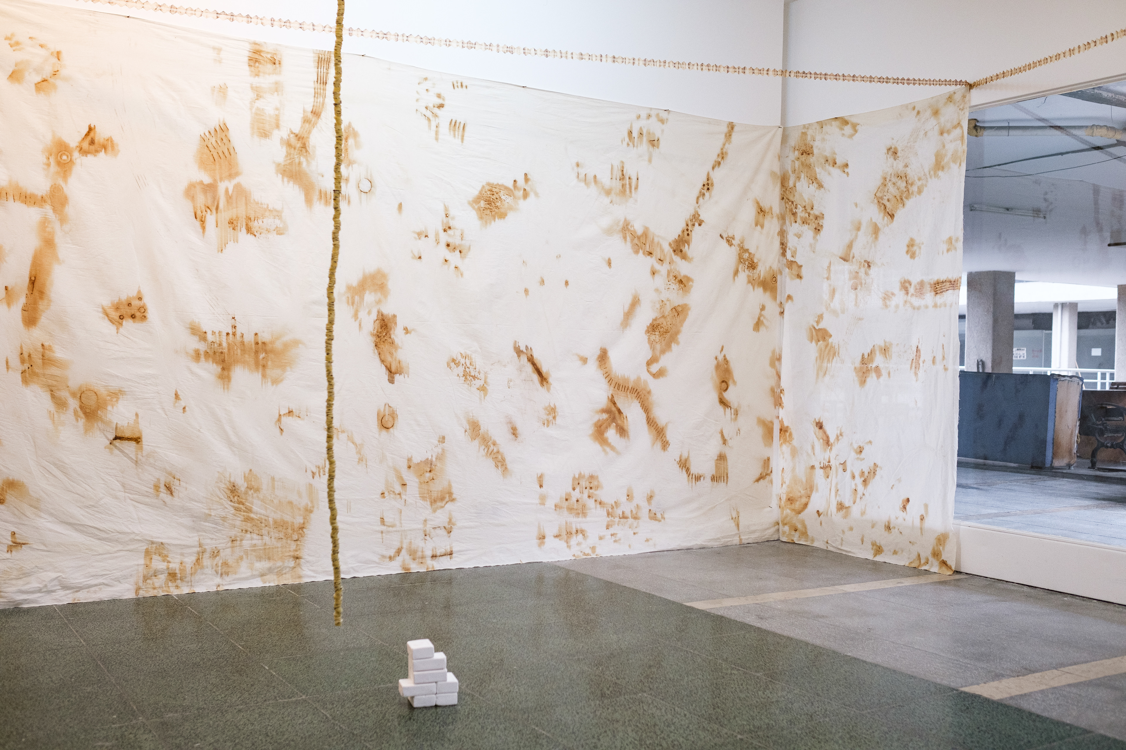Gewgaw, 2022, installation, button, wire, plaster mold, 280 cm