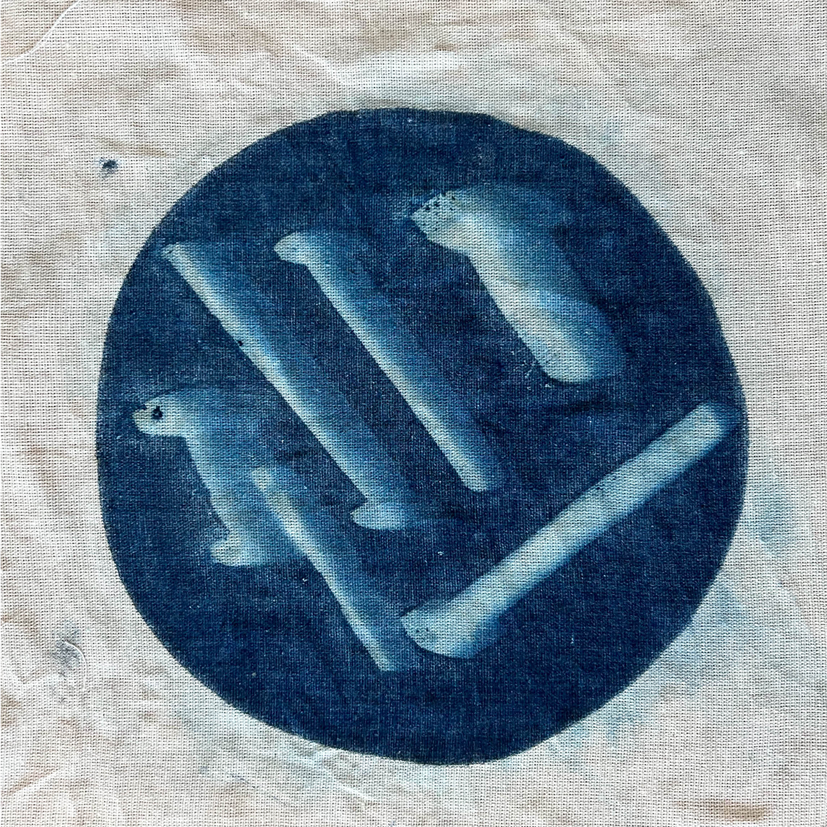 No.7, 2022, cyanotype on fabric, 23 cm