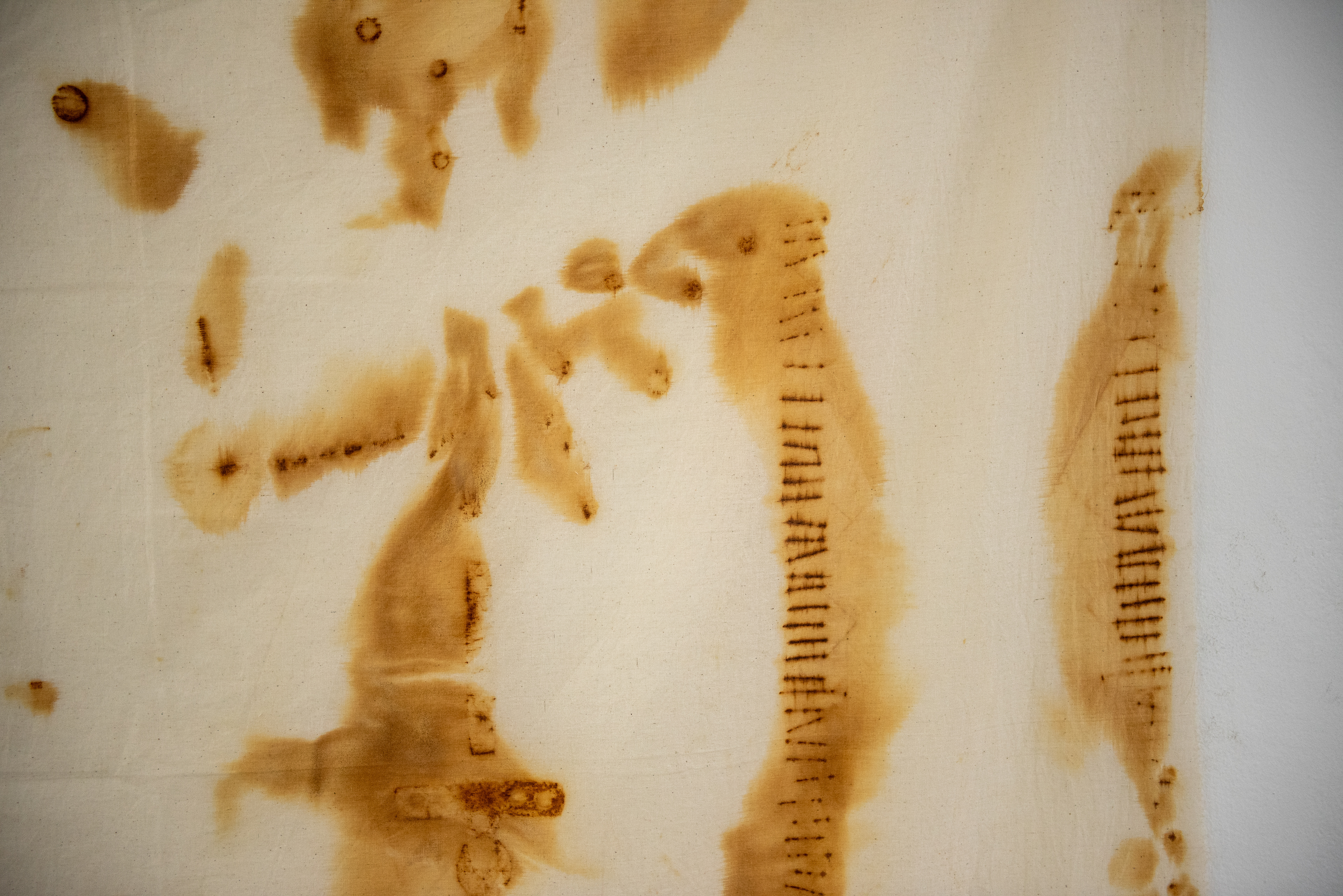 Cloth No.2, 2022, rust print on fabric,  220 x 150 cm, close-up, photo credit: Oana Pop