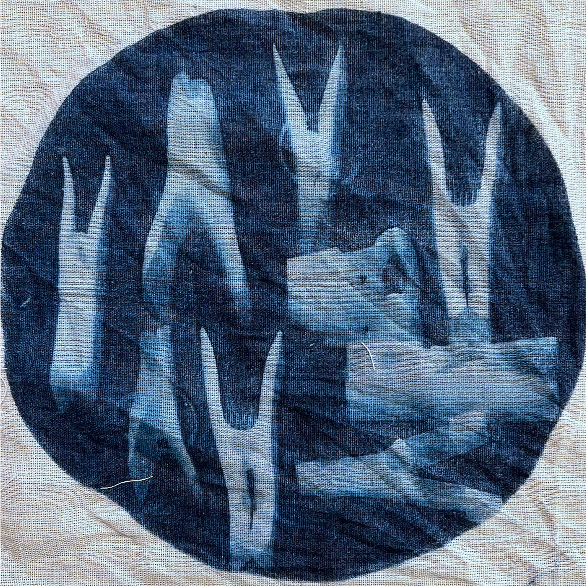No.4, 2022, cyanotype on fabric, 25 cm 