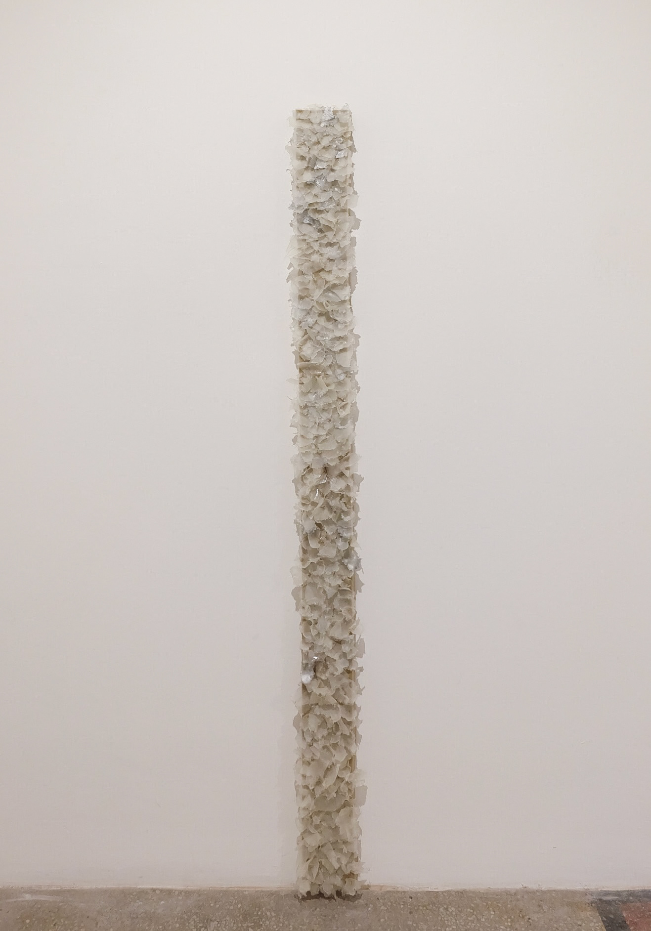 Torn & Blooming, sponge, silicone, needles, 5 x 13 x 173 cm, 2023 / installation view from KASA Gallery, 2023