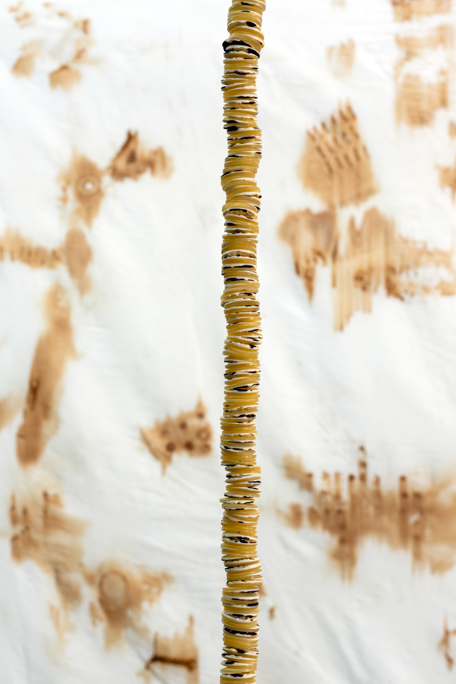 Gewgaw, 2022, installation, button, wire, plaster mold, 280 cm / close-up