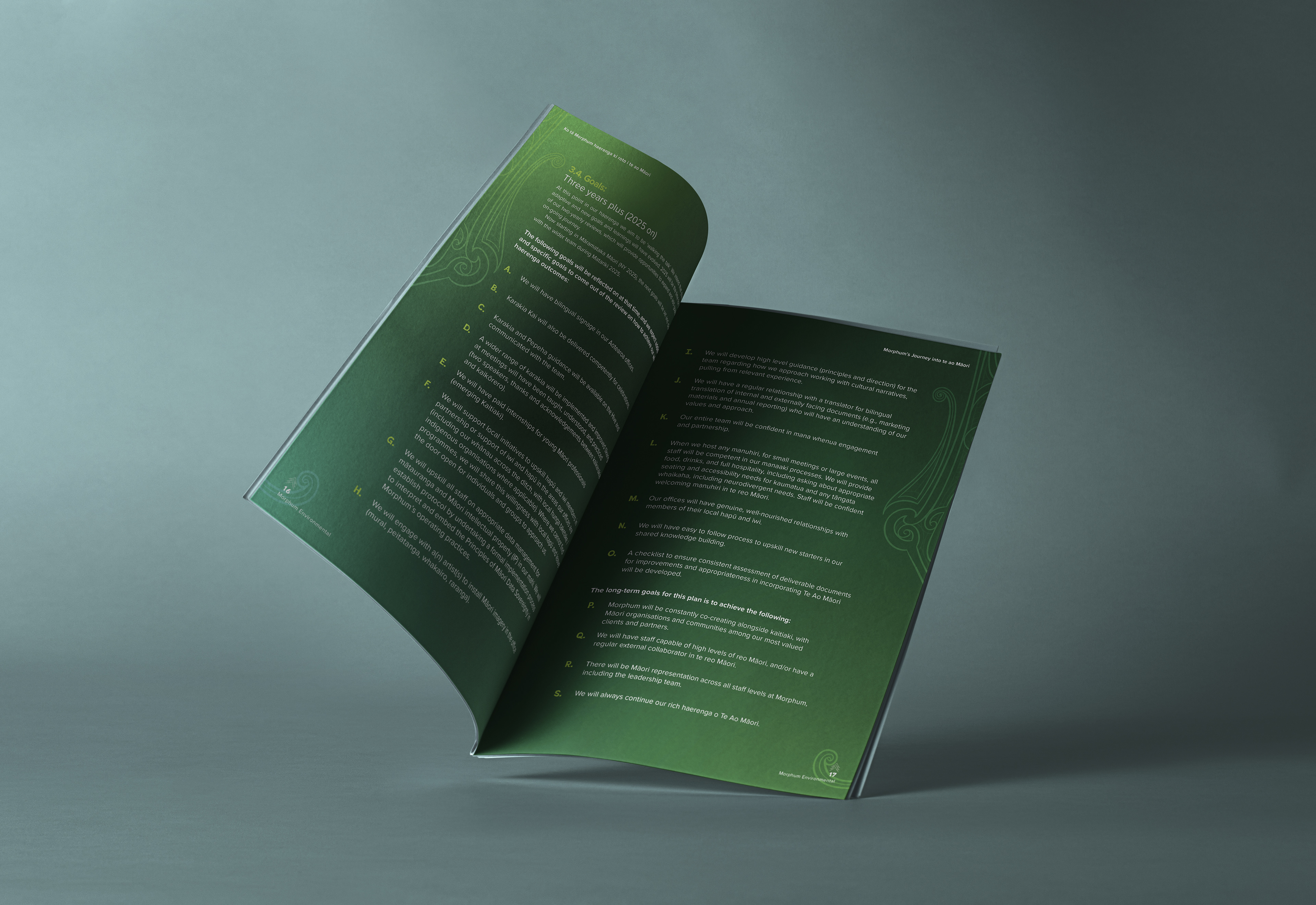 Report design. Morphum Environmental, 2025