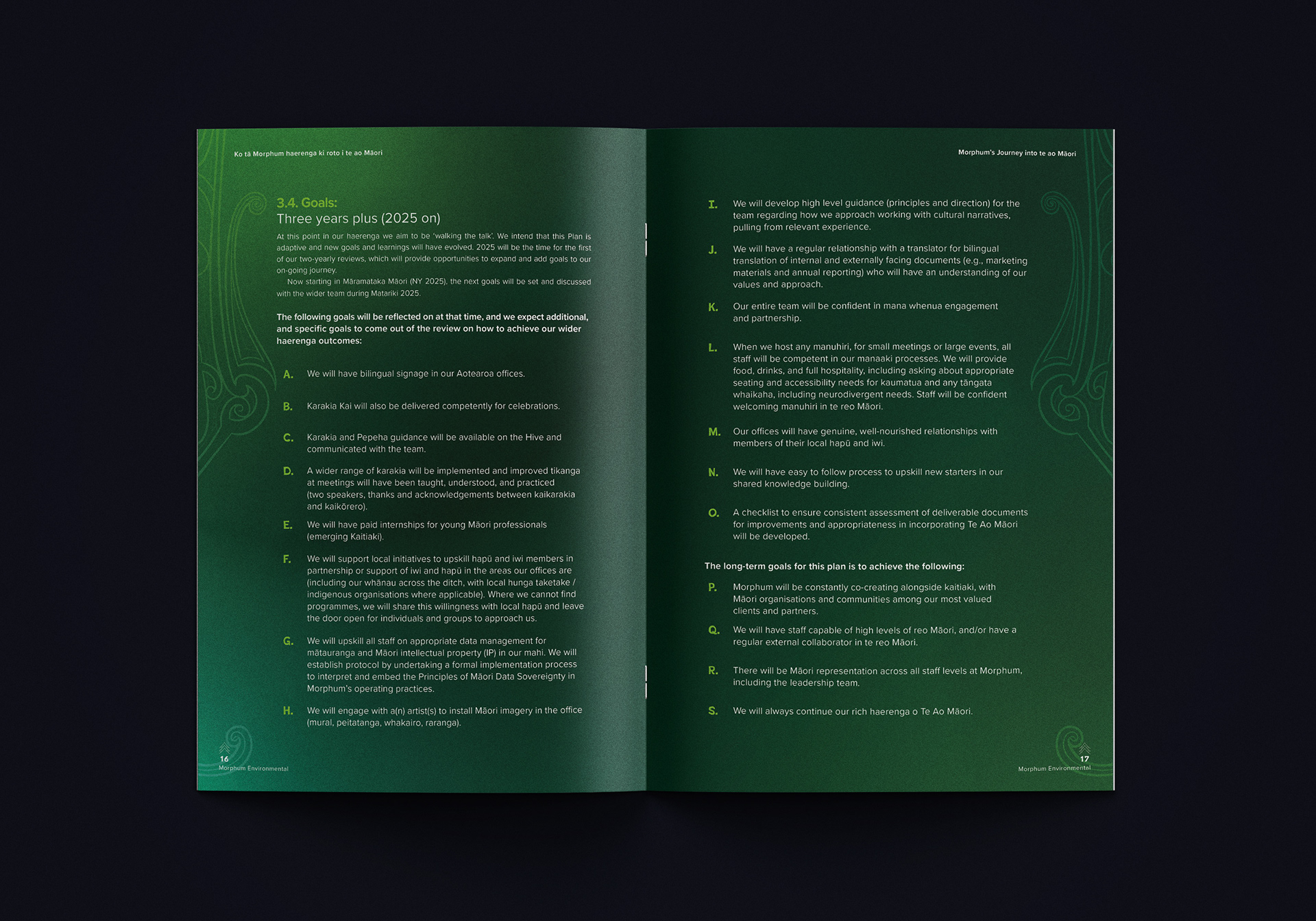 Morphum Te ao Māori Action Plan, 2025