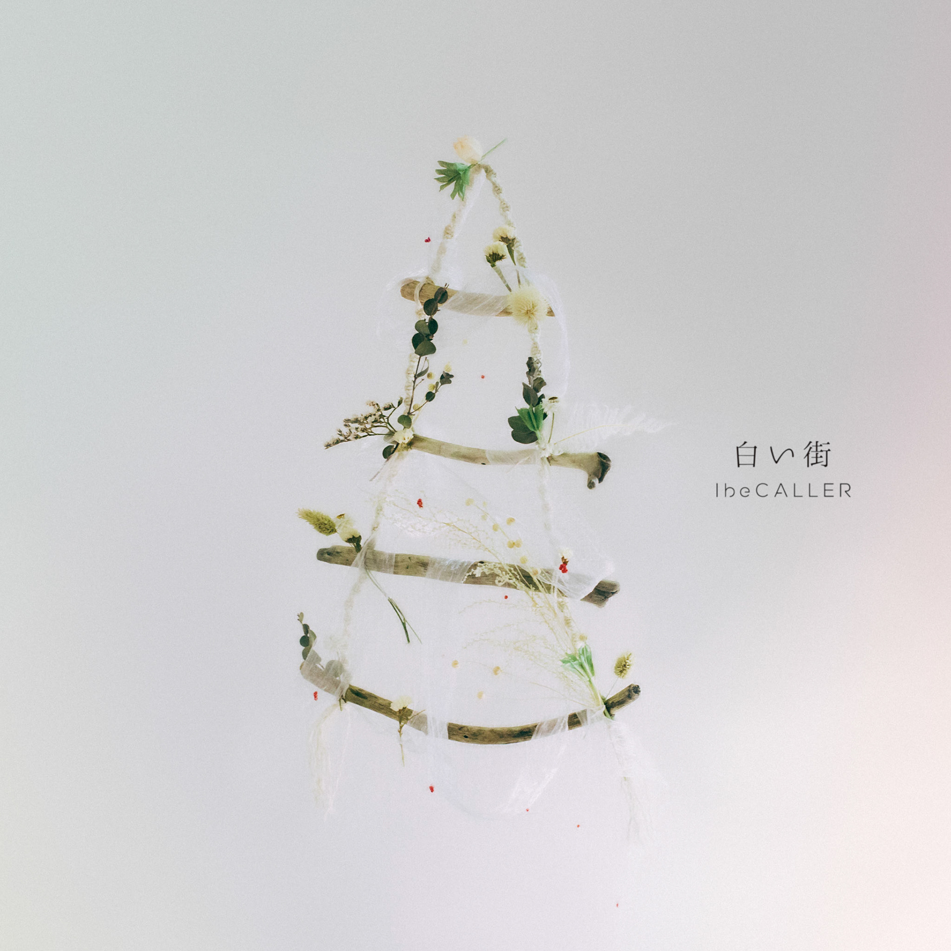 IBE_SHIROIMACHI_JACK_desgn