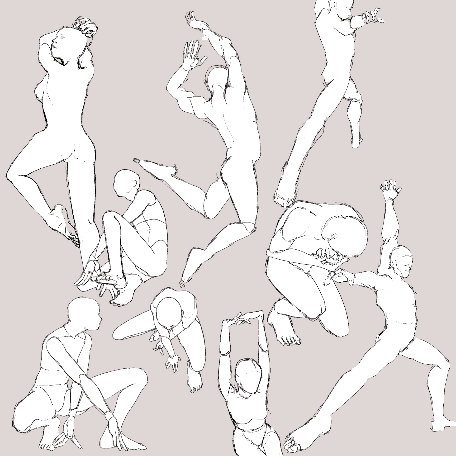 Anatomy Studies; CSP