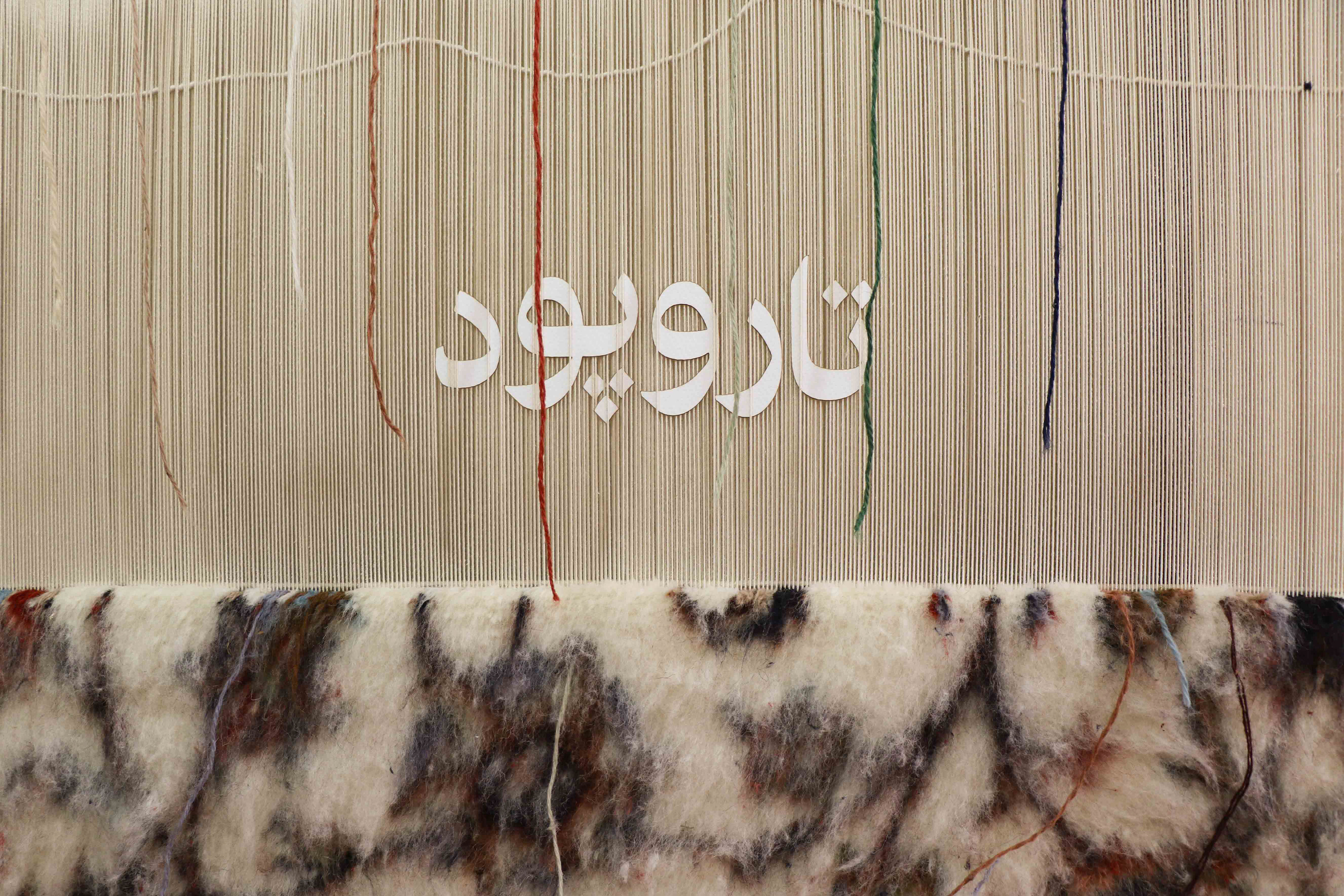 The words put between the Warps