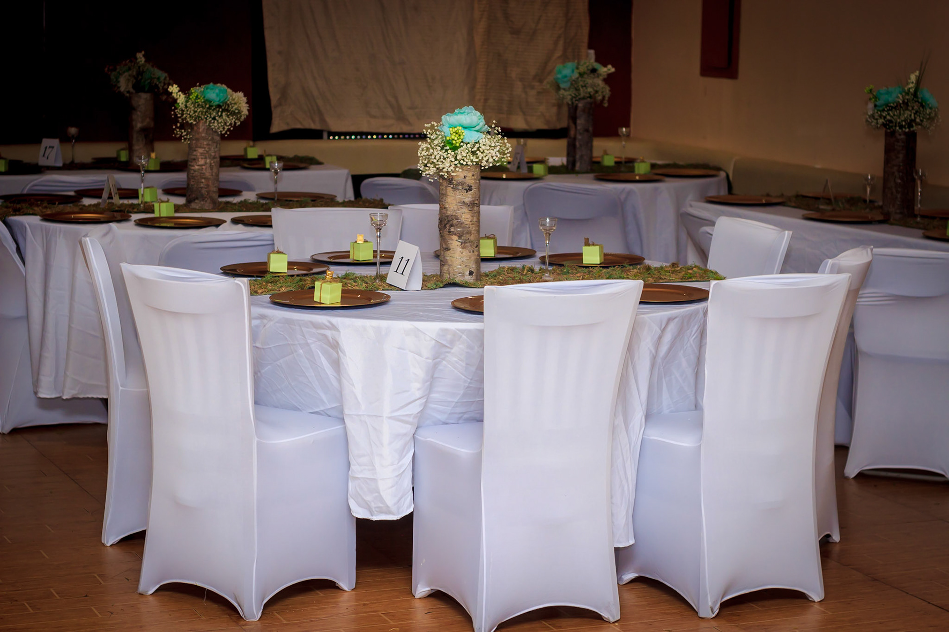 Julie & Cesar's Shower – Queens, NY
