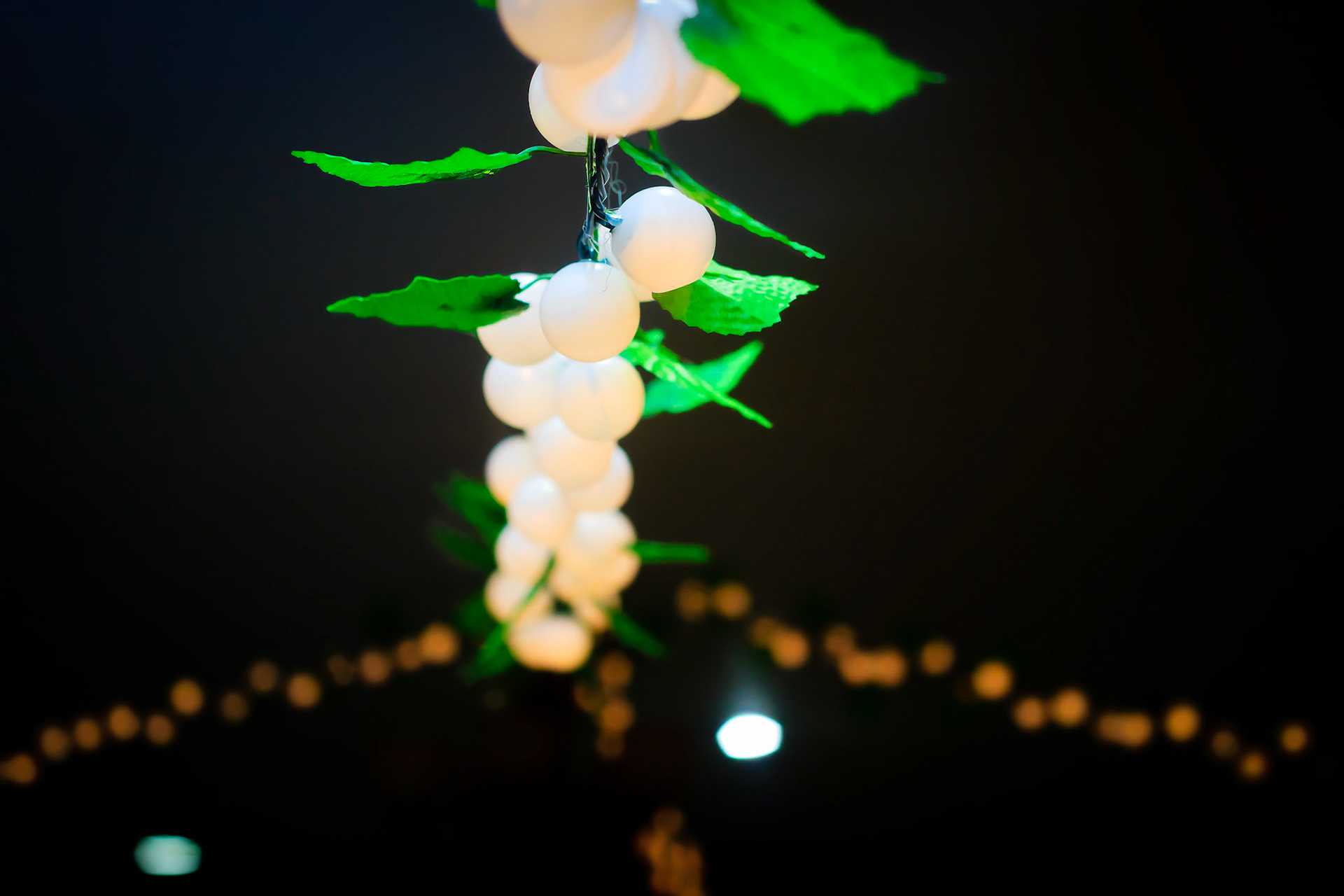 Julie & Cesar's Shower – Queens, NY