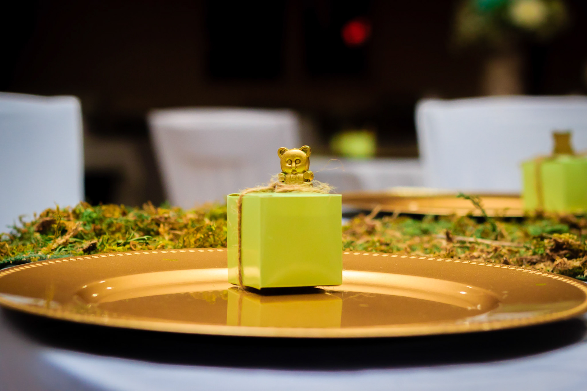 Julie & Cesar's Shower – Queens, NY