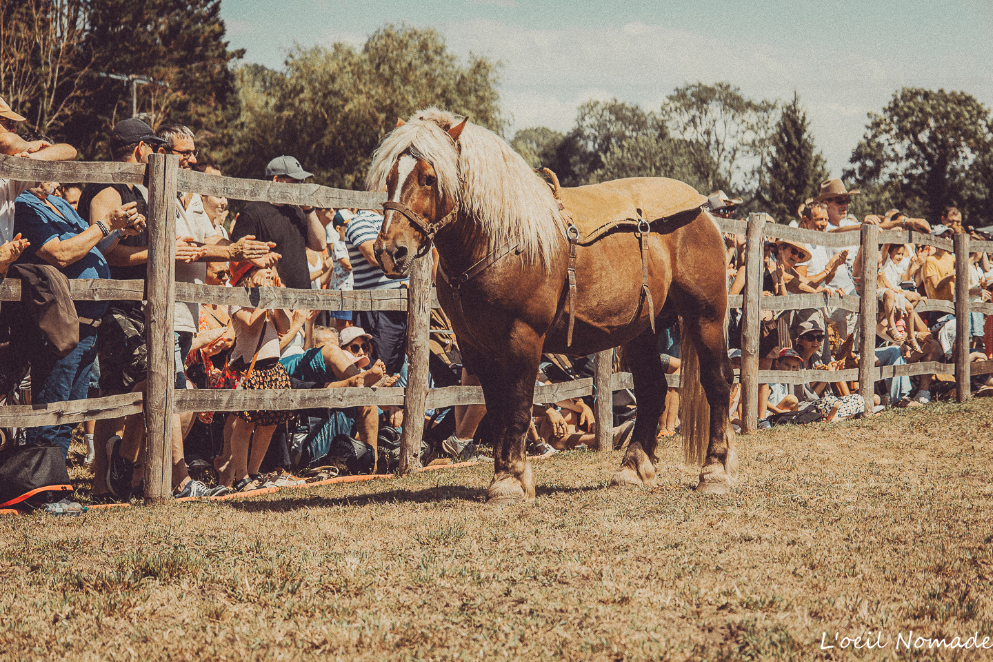 Public assistant à un spectacle western