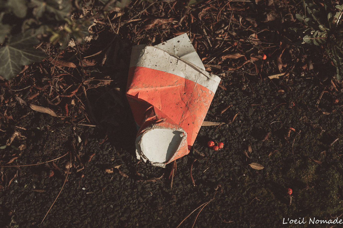Vestige. Un éclat de couleur au milieu de la texture de la terre