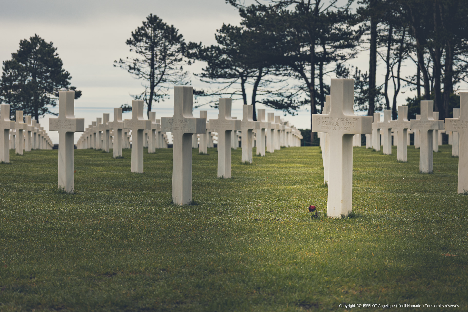 Symbole du sacrifice : croix de marbre blanc au cimetière de Colleville-sur-Mer surplombant la Manche.