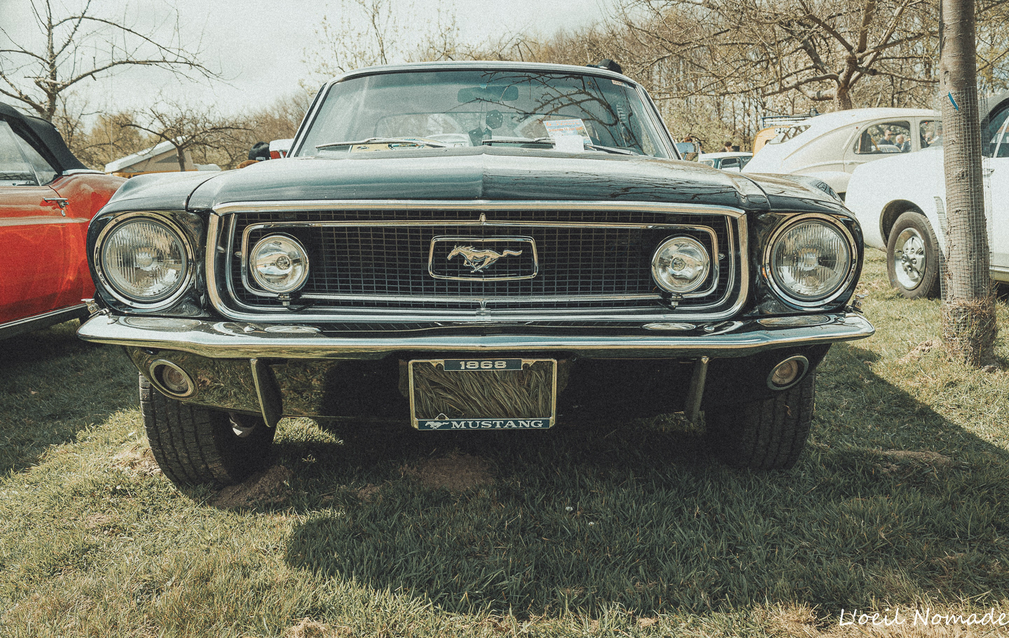 Photographe patrimoine Normandie, véhicules anciens agricoles, collection et tradition