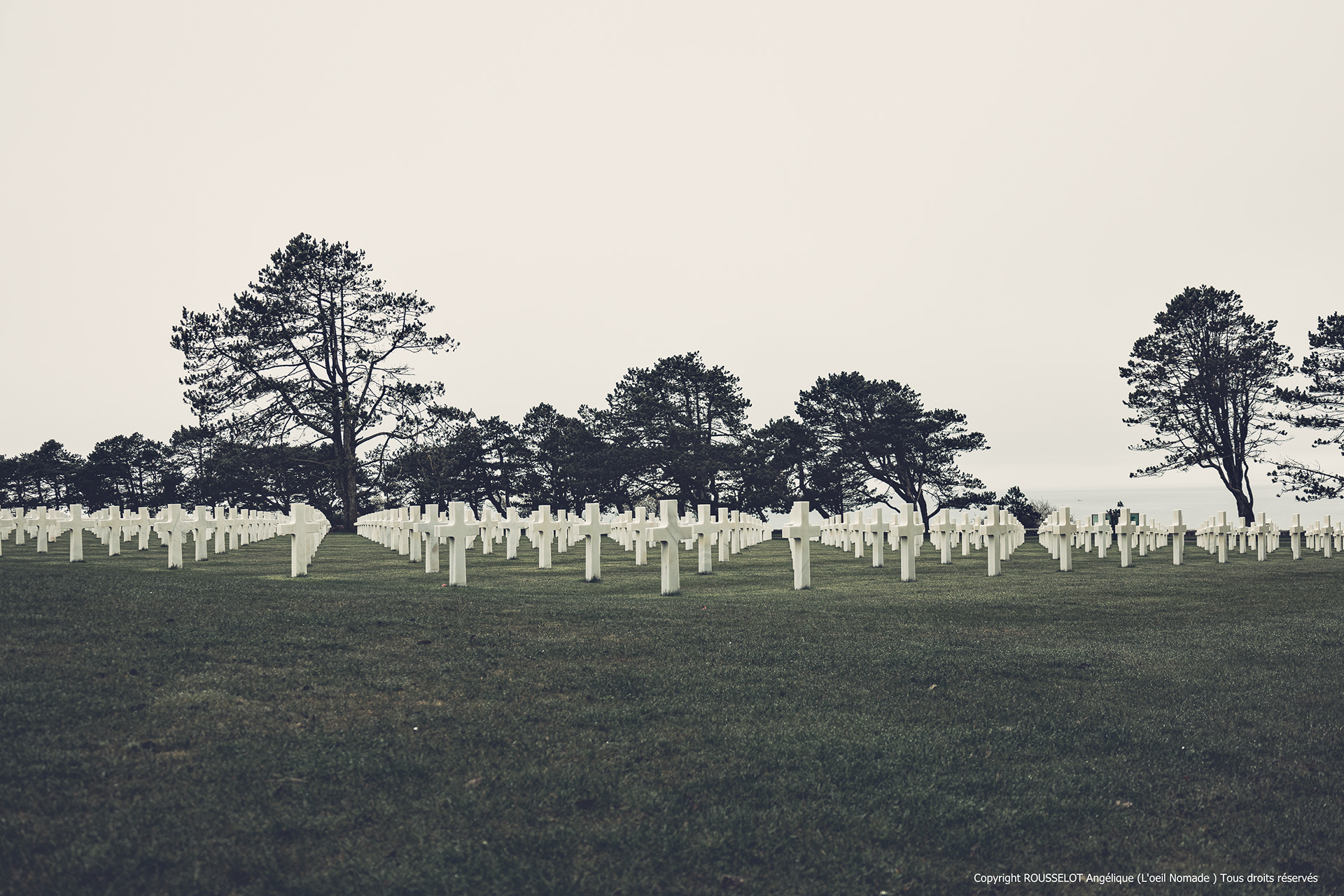 Reportage mémoriel : perspective sur l'alignement des croix blanches au Cimetière Américain de Colleville-sur-Mer.