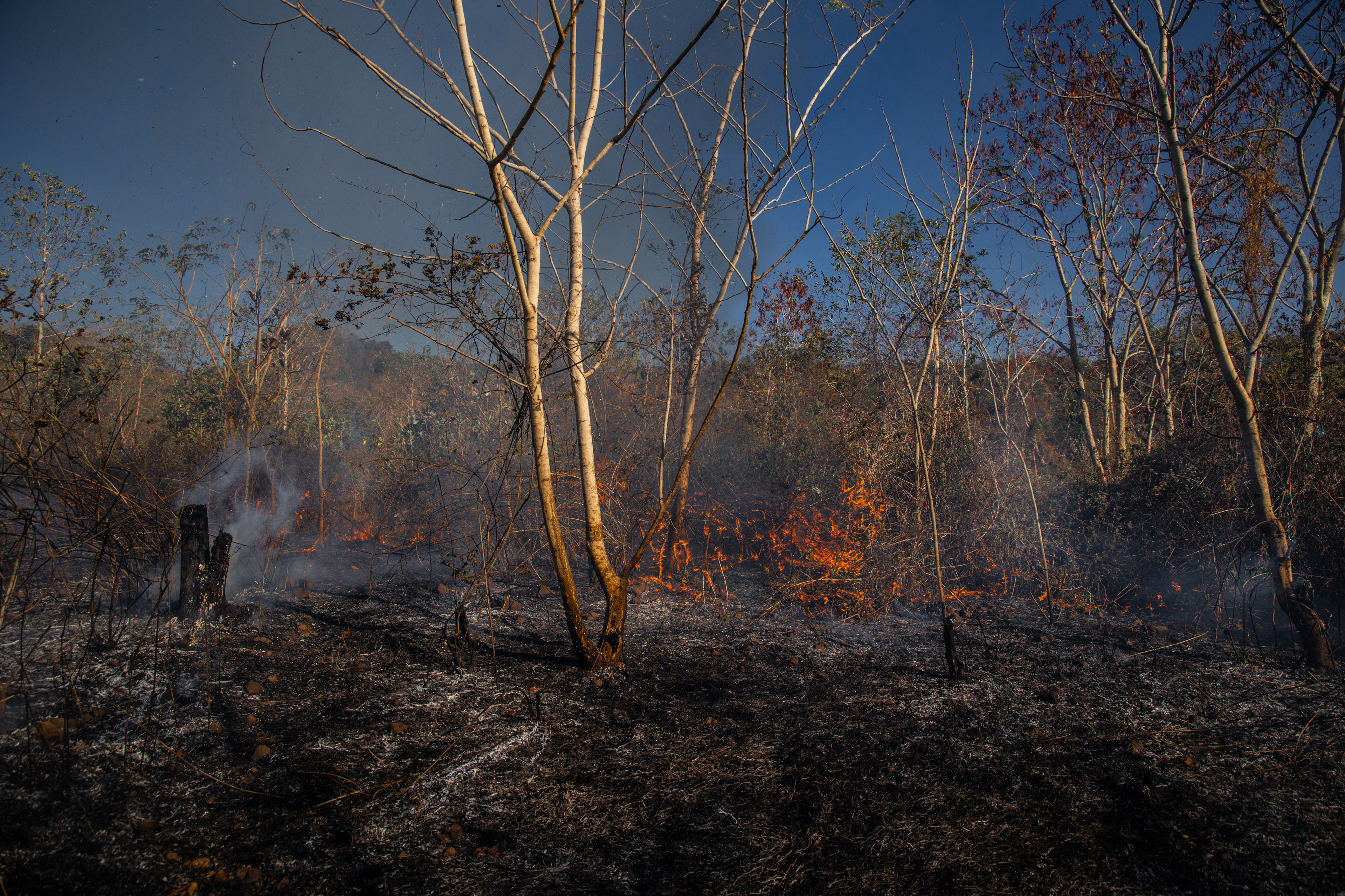 Požár, Palau Lembata