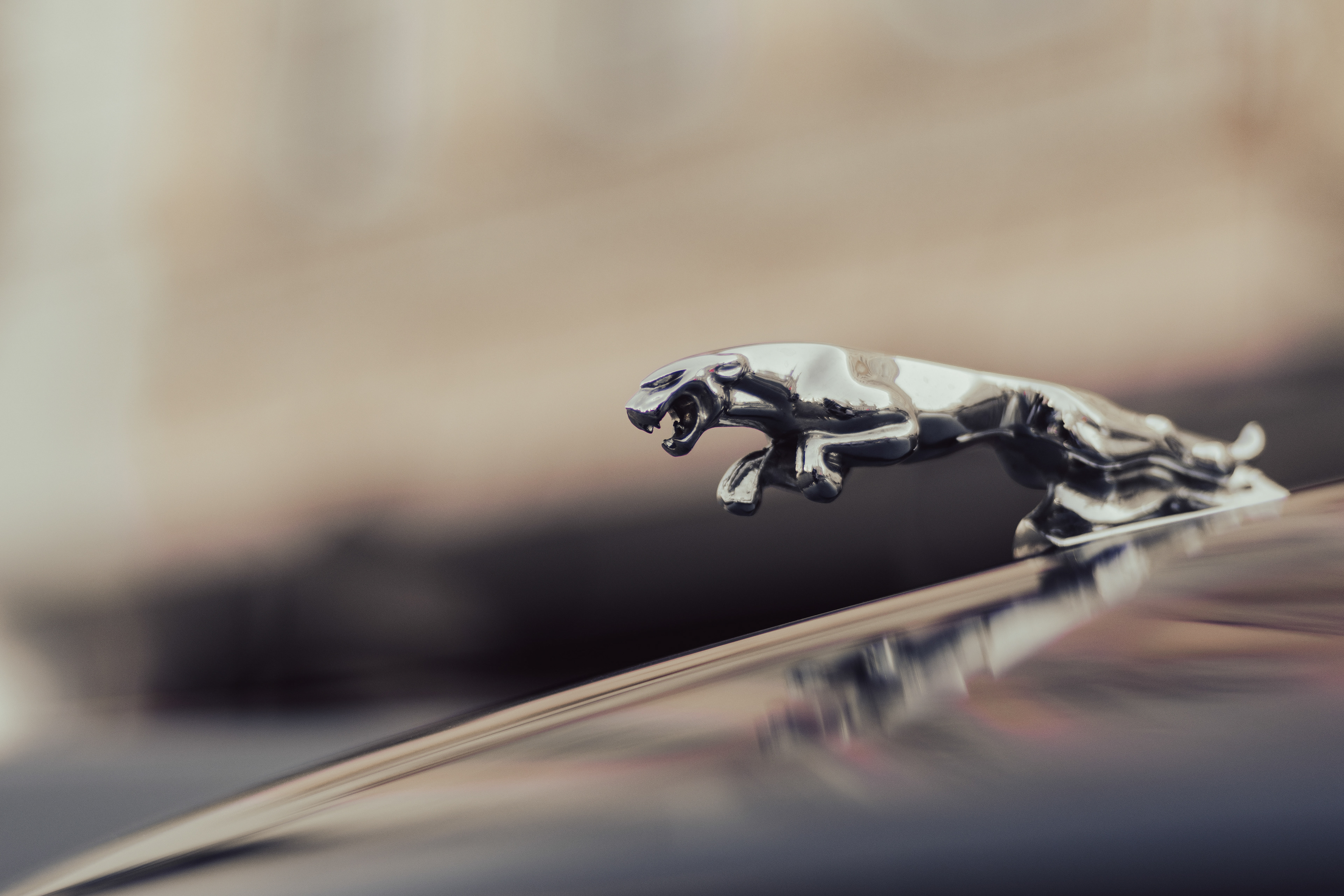 Jaguar, South Bohemia Classic