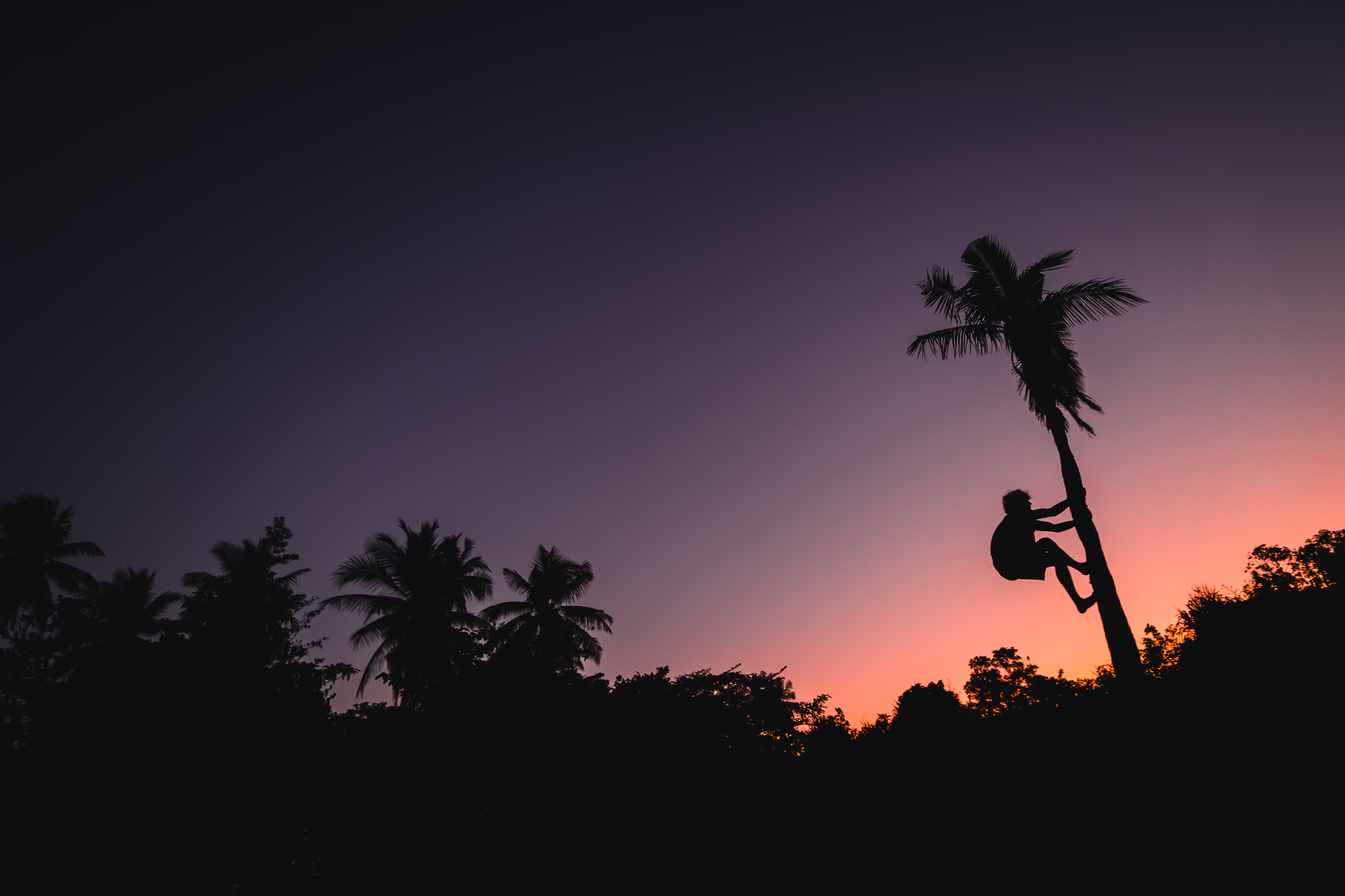 Sběr kokosů, Lewoleba