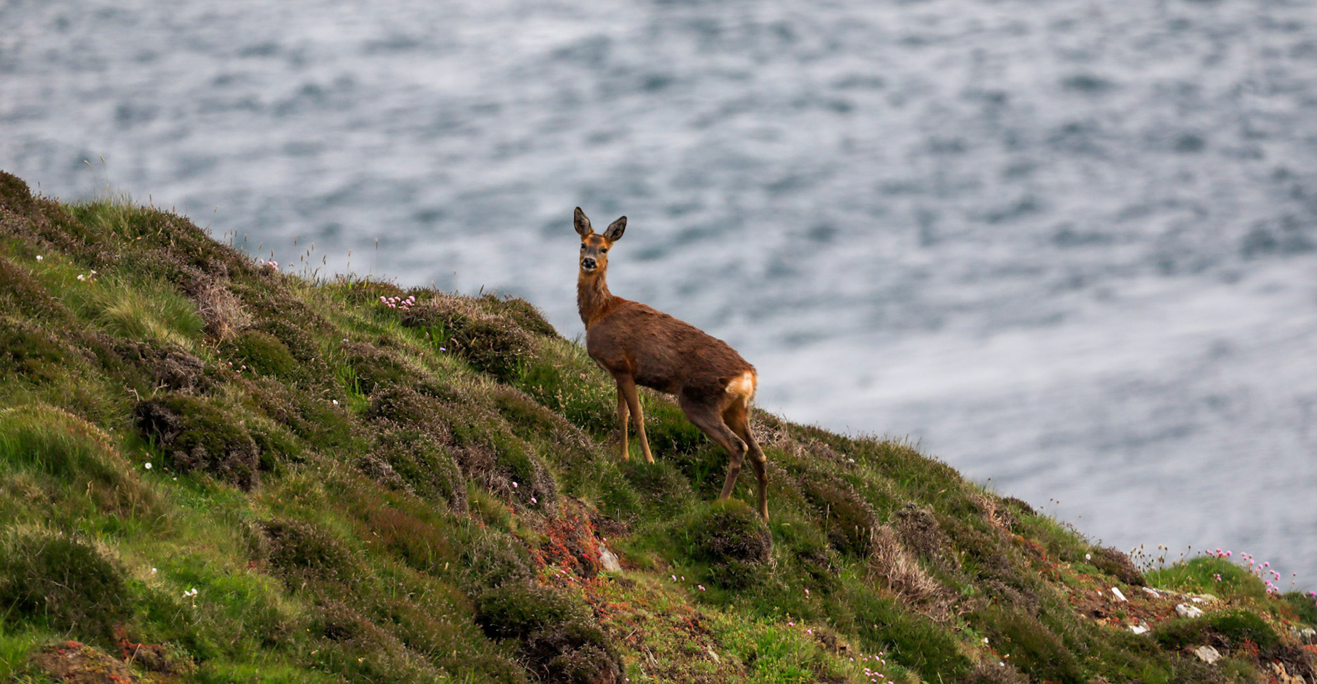 Edge of cliff