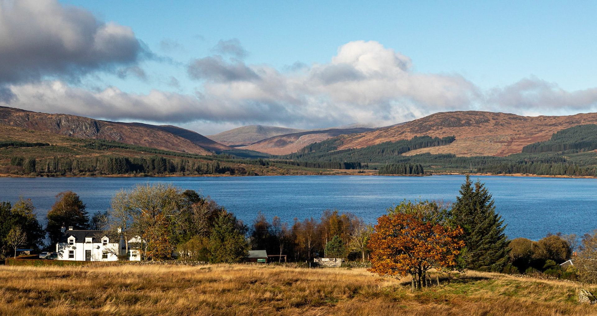 Sunny morning at Clattherinshaws loch