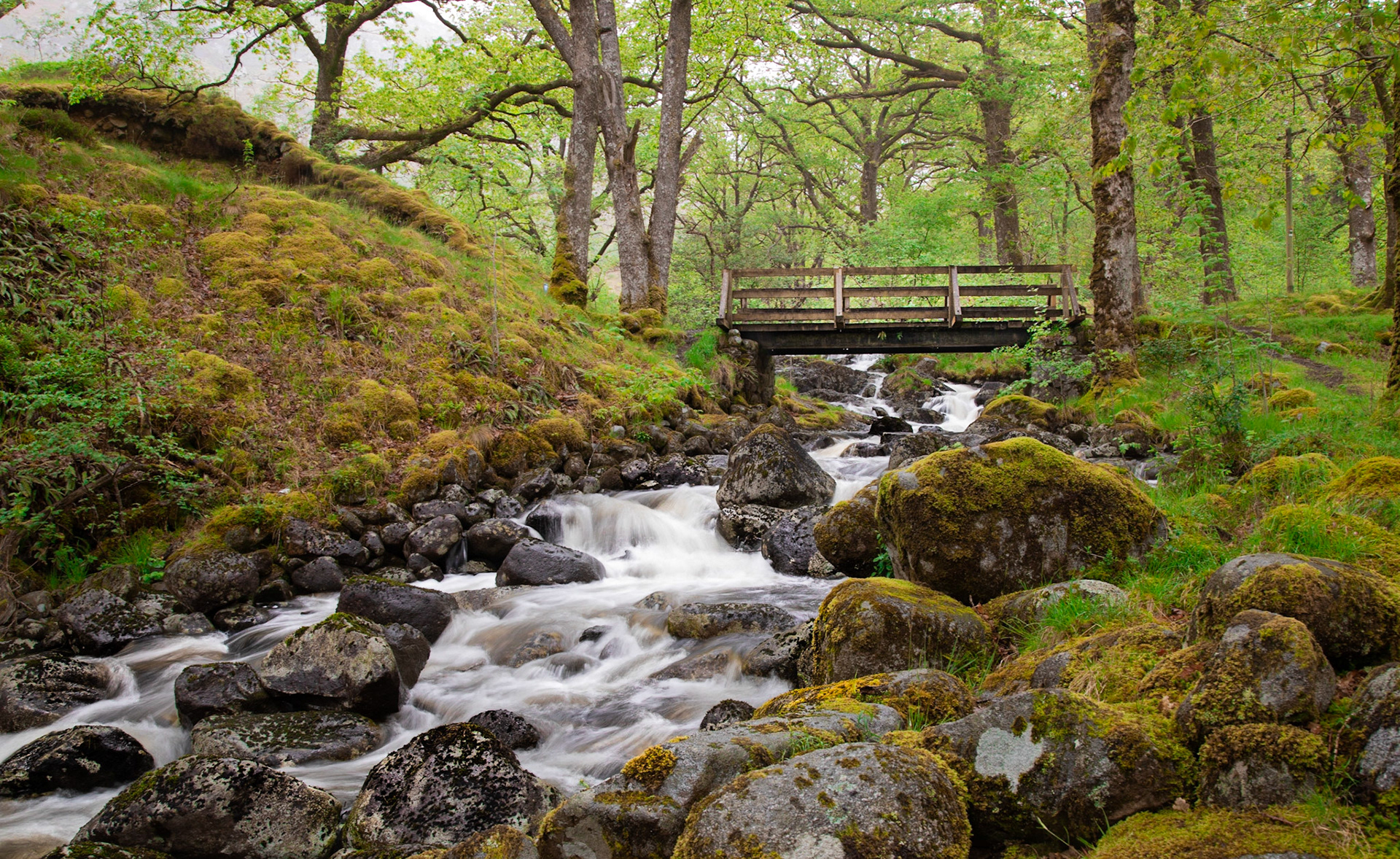 Water Under the Bridge