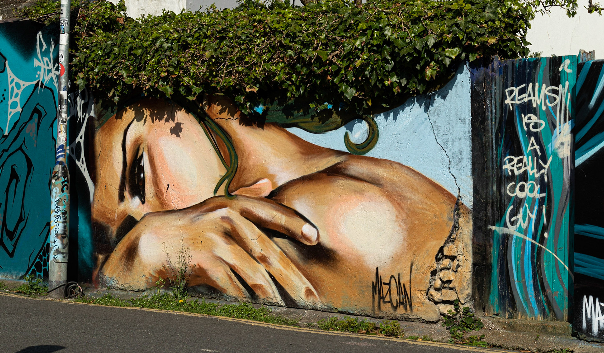 Vandalism or Art ?