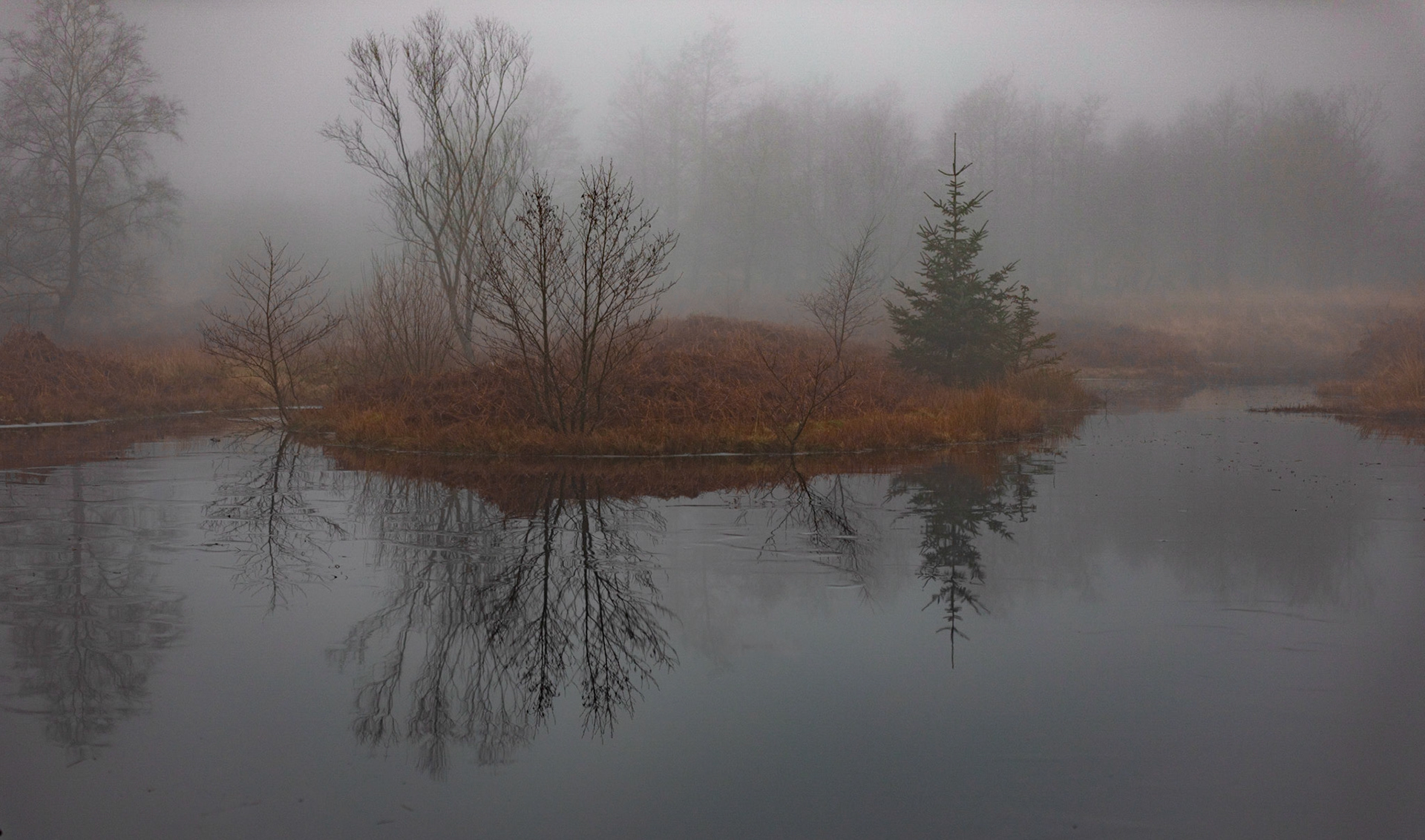 Misty Pond