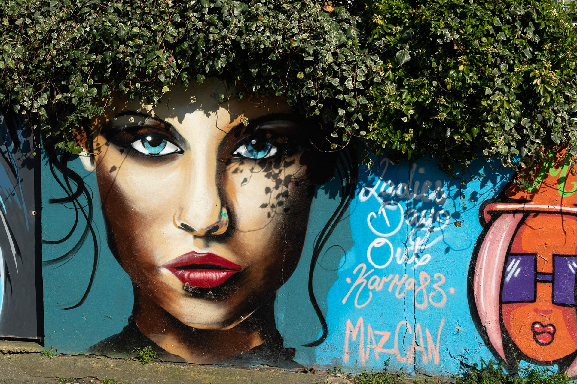 Vandalism or Art ?