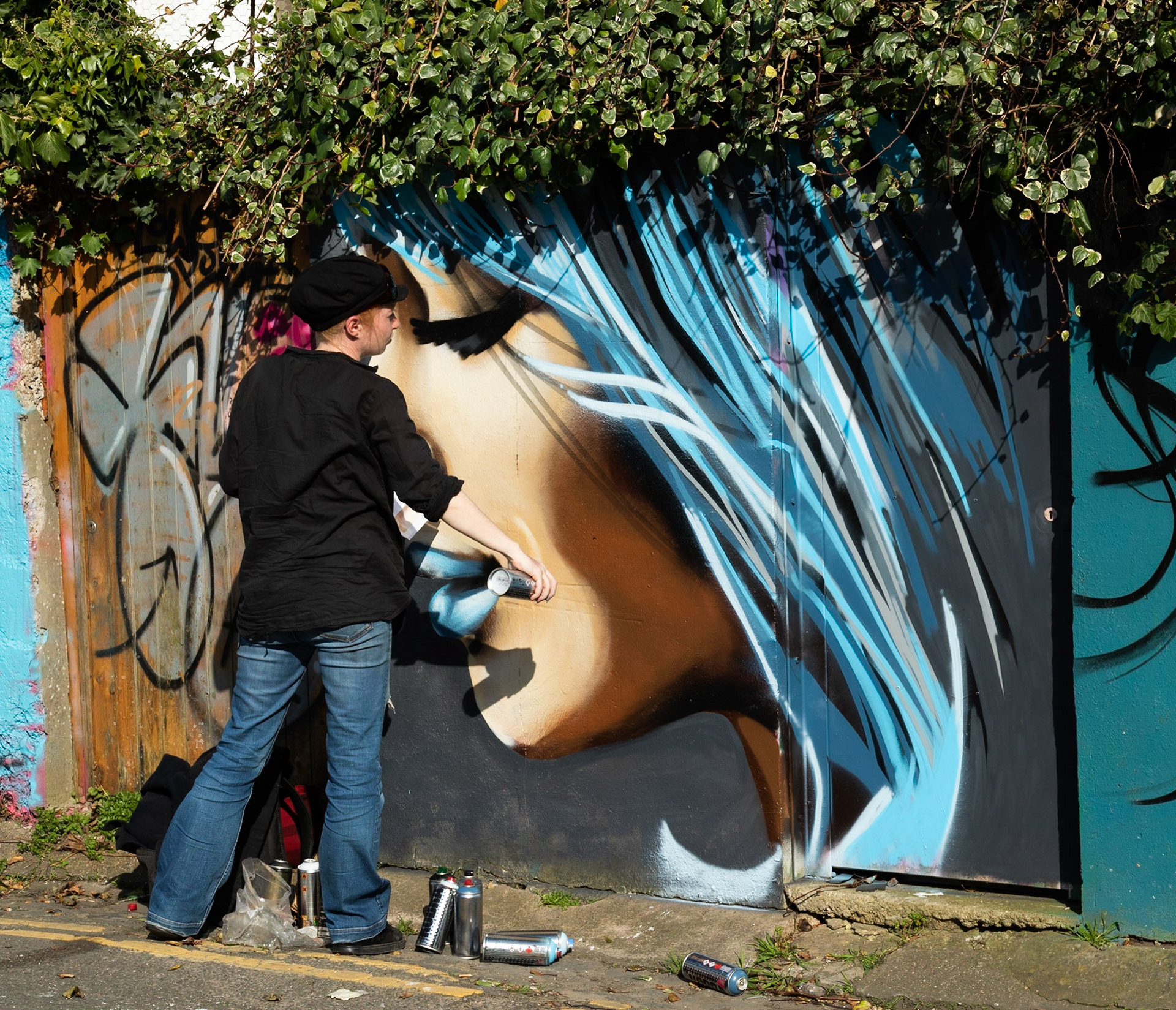 Vandalism or Art ?