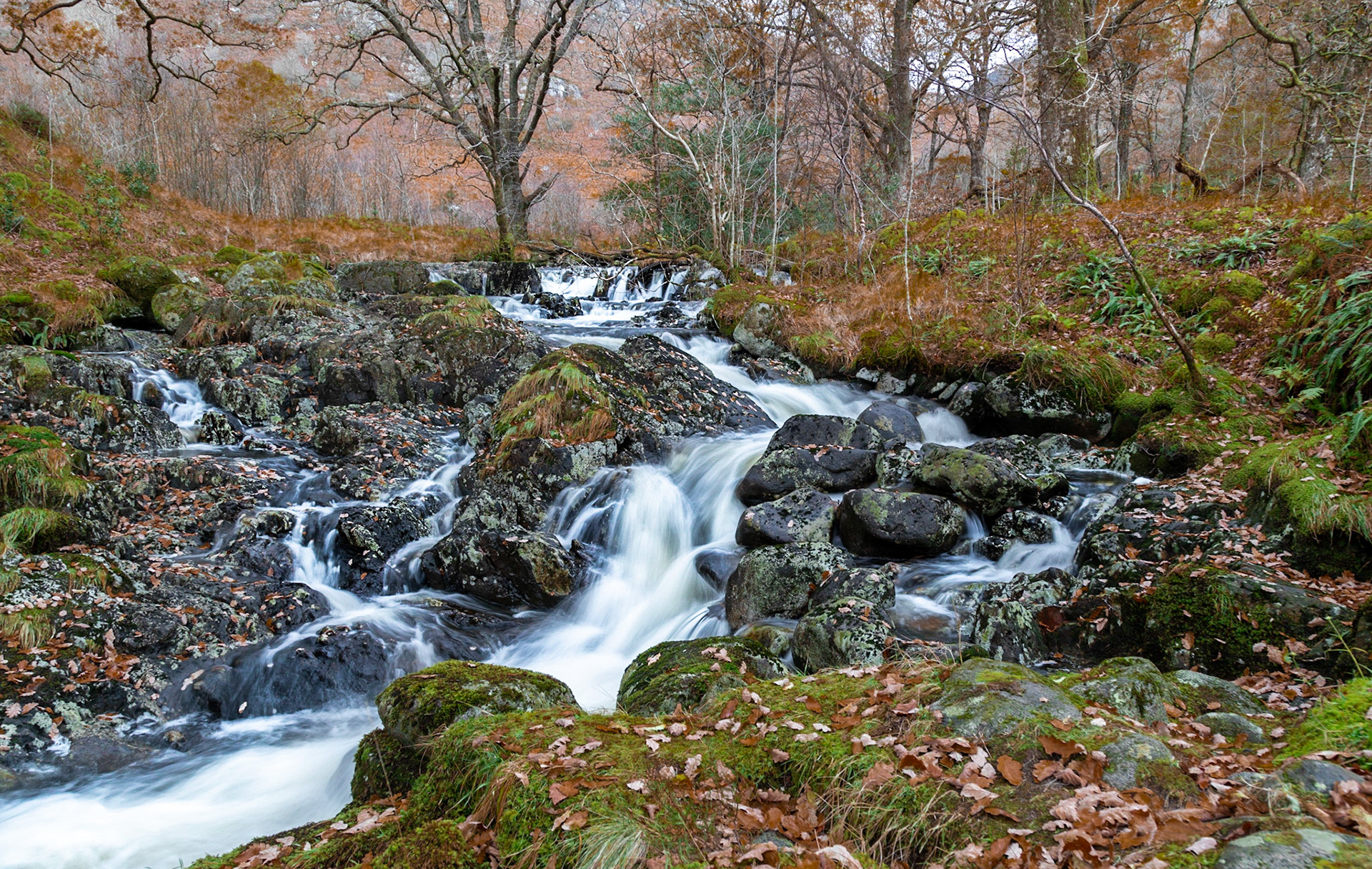 Galloway Burn