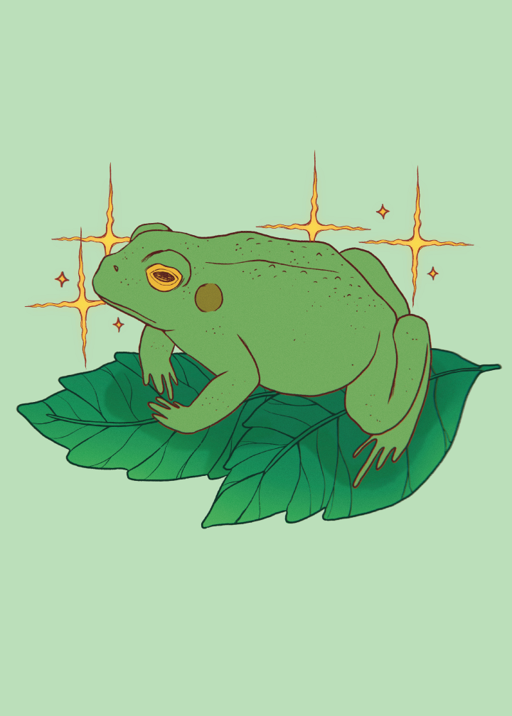 I love frogs