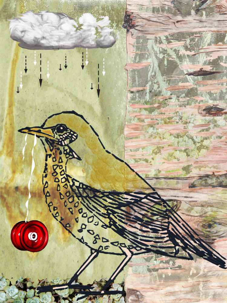 Bird in the rain with a yo-yo.