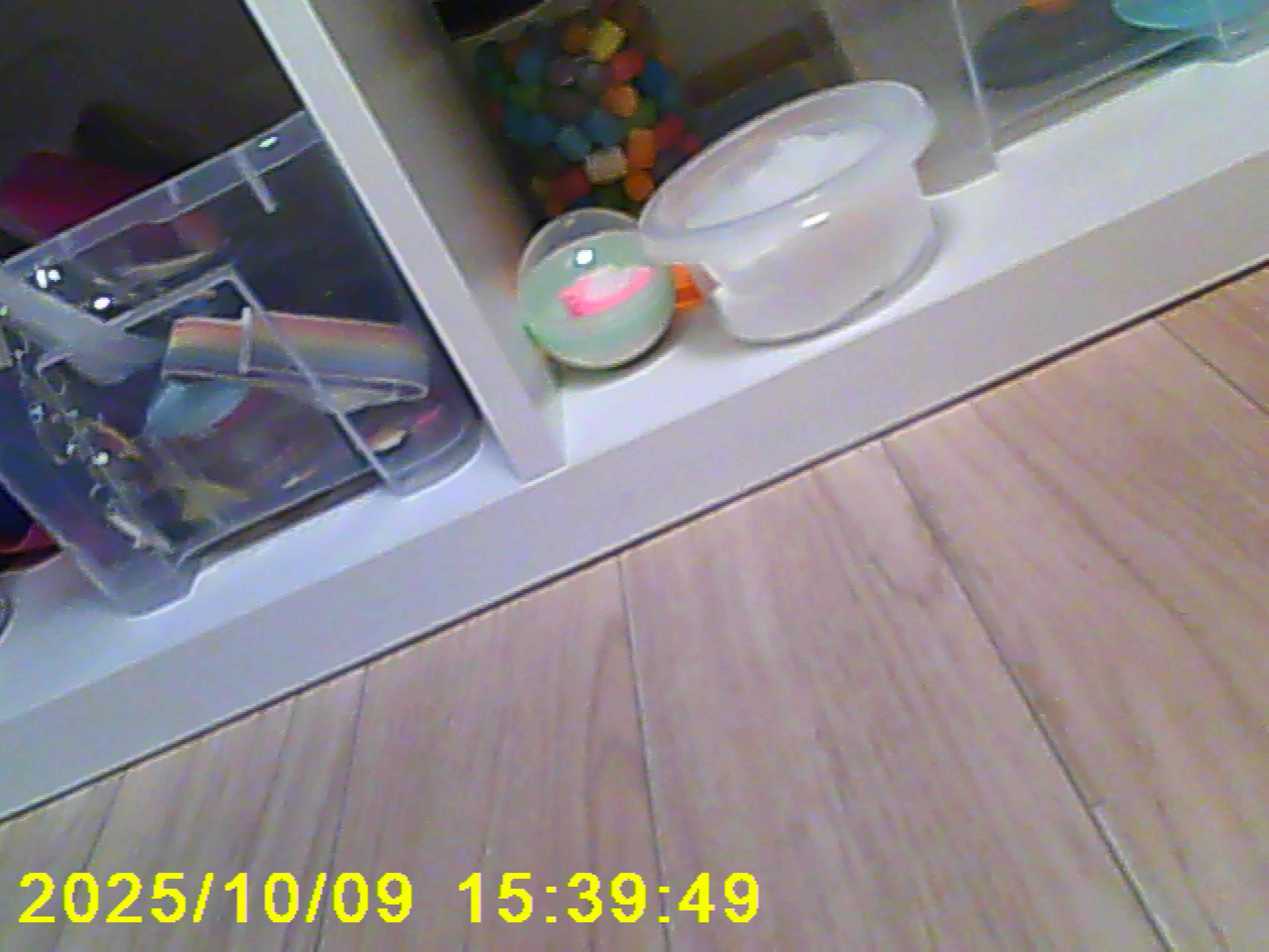 Untitled (Play), 2025