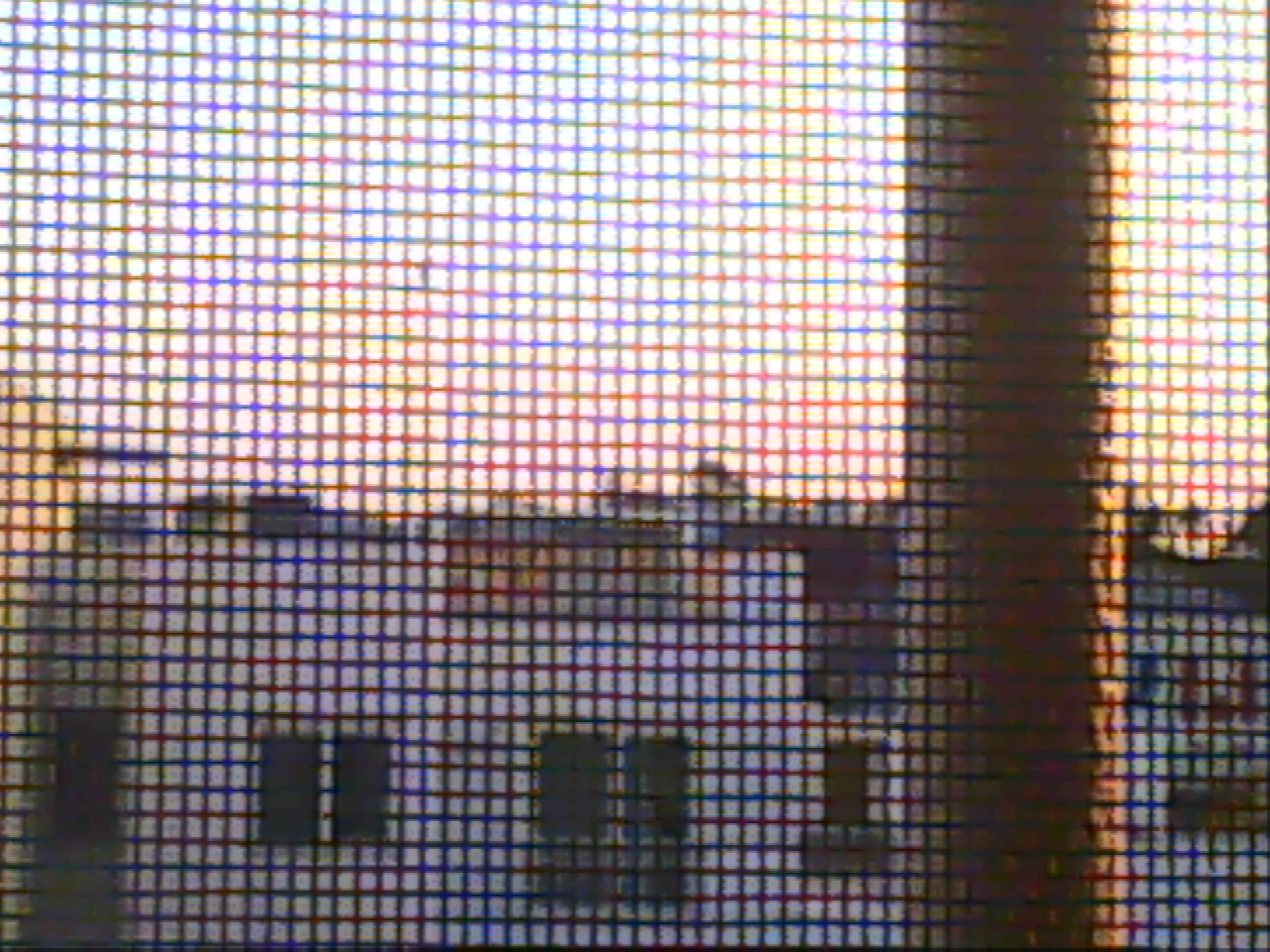 Untitled (View), 2025