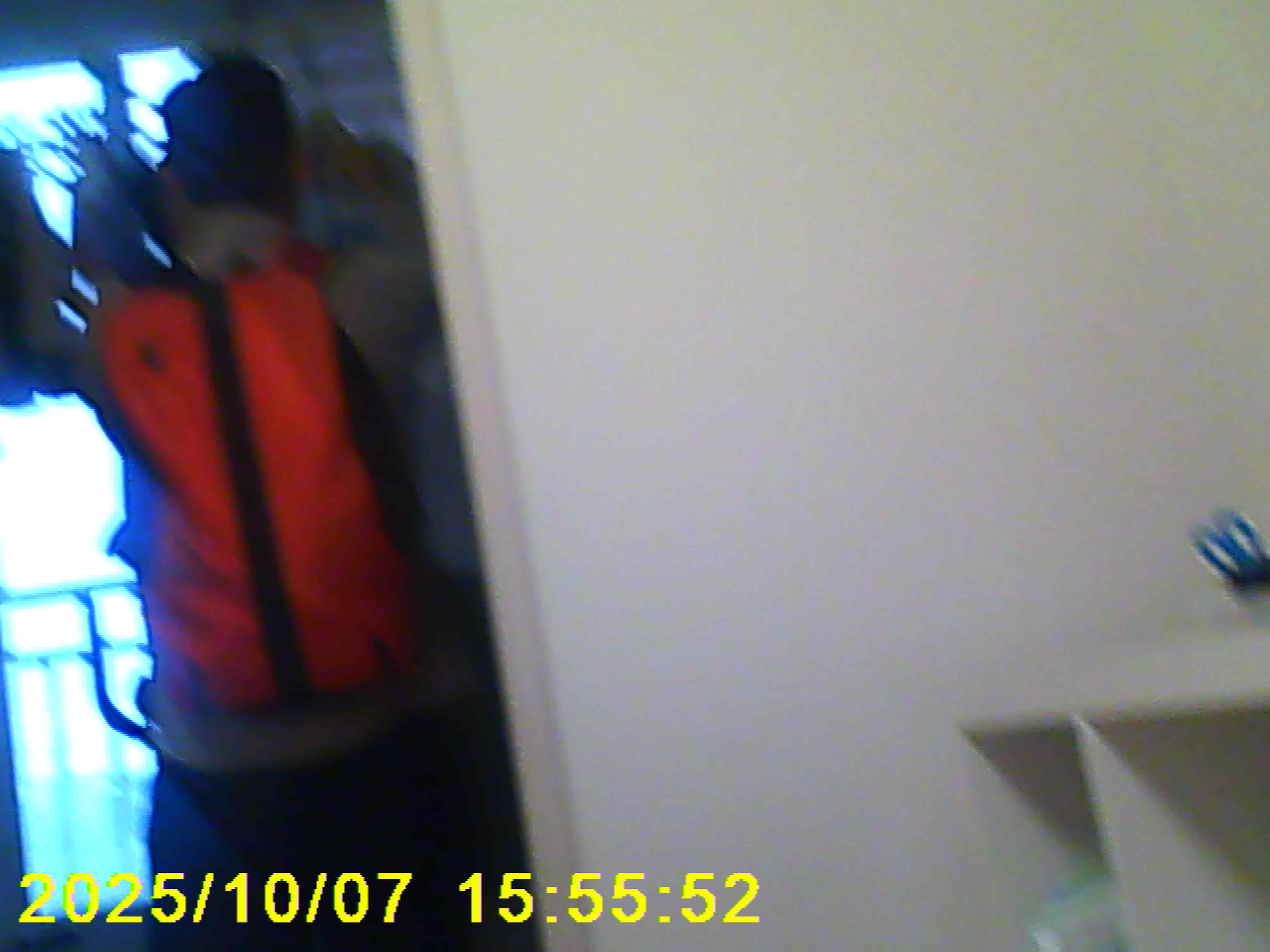 Untitled (Someone I Love), 2025