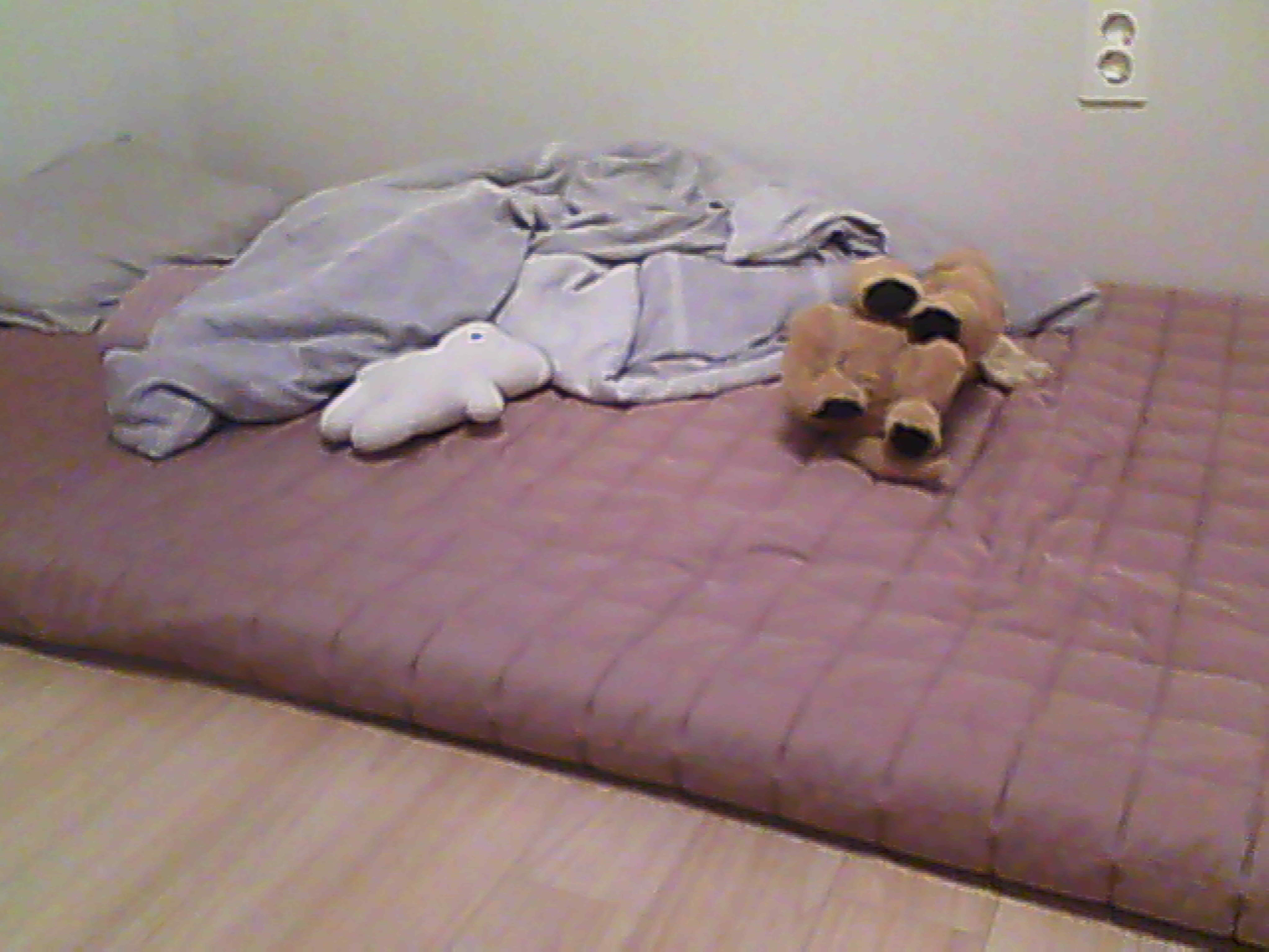 Untitled (Companion), 2025